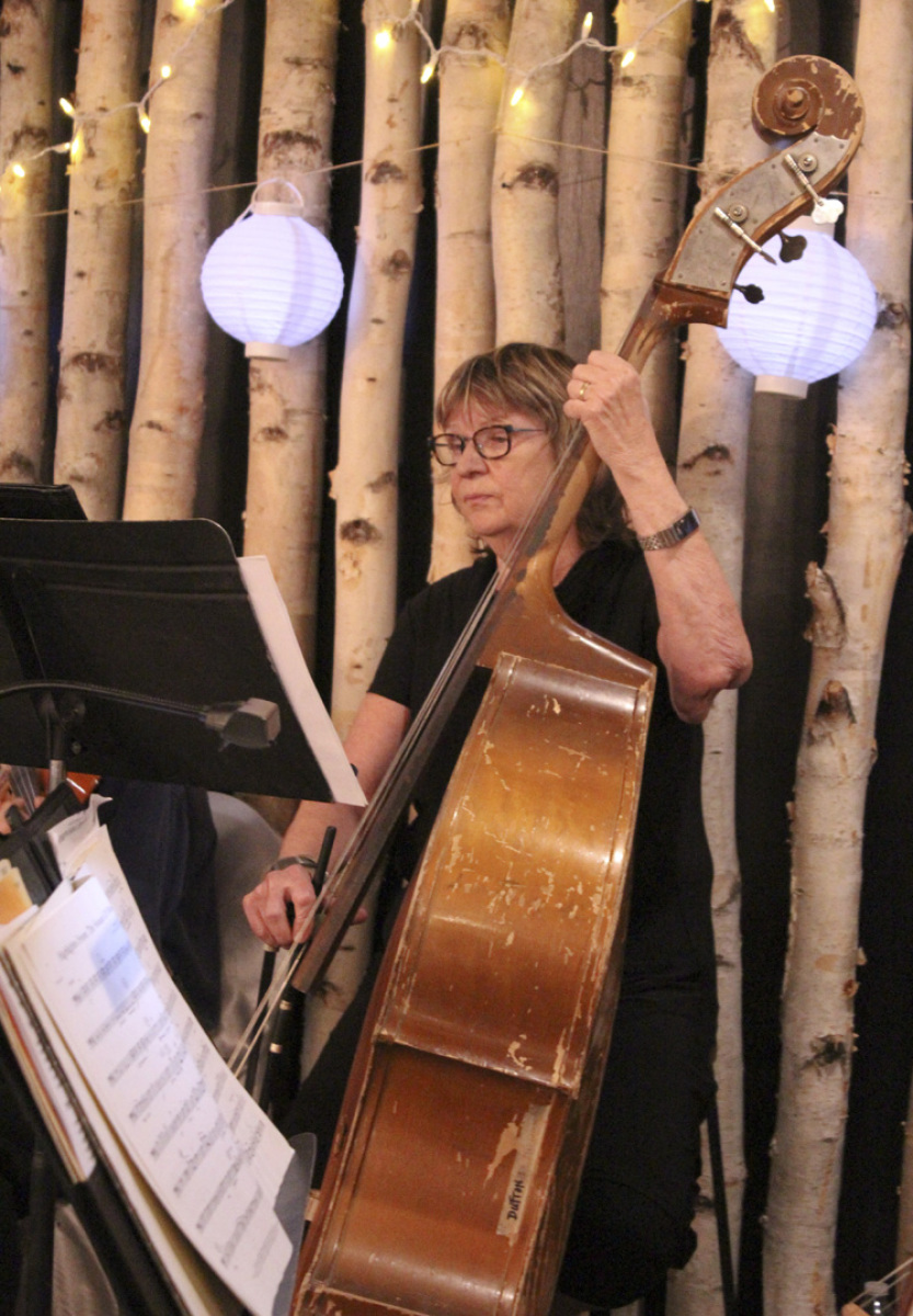 Sedgwick playing