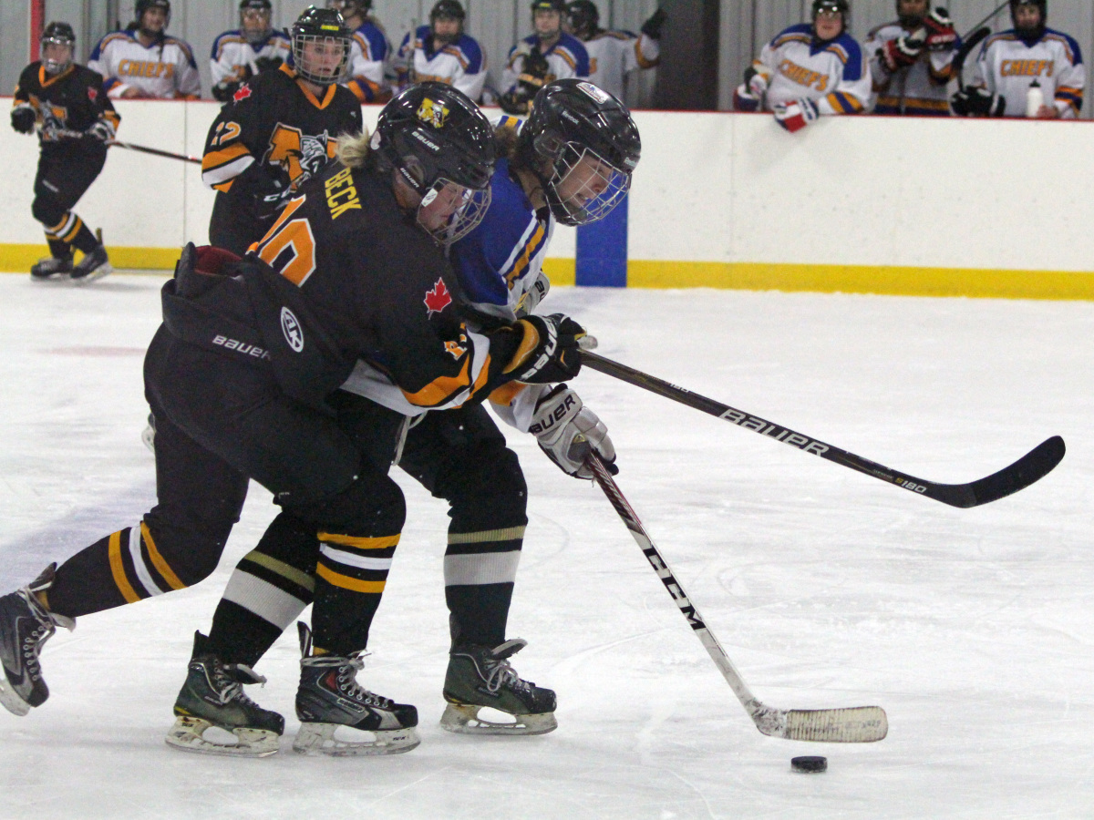 Fighting for puck