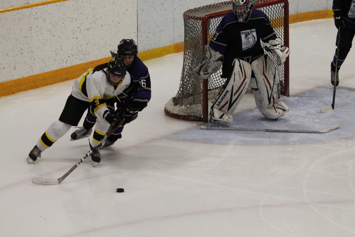 Rounding the net