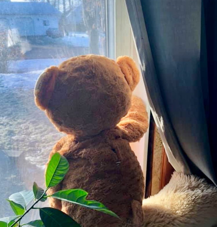 Bear hunt
