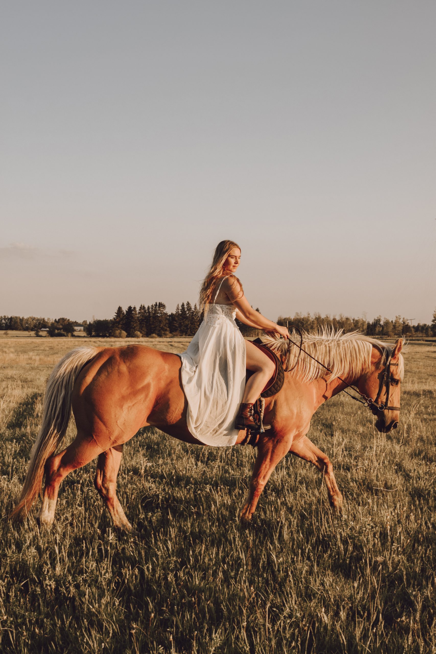 Horsing around