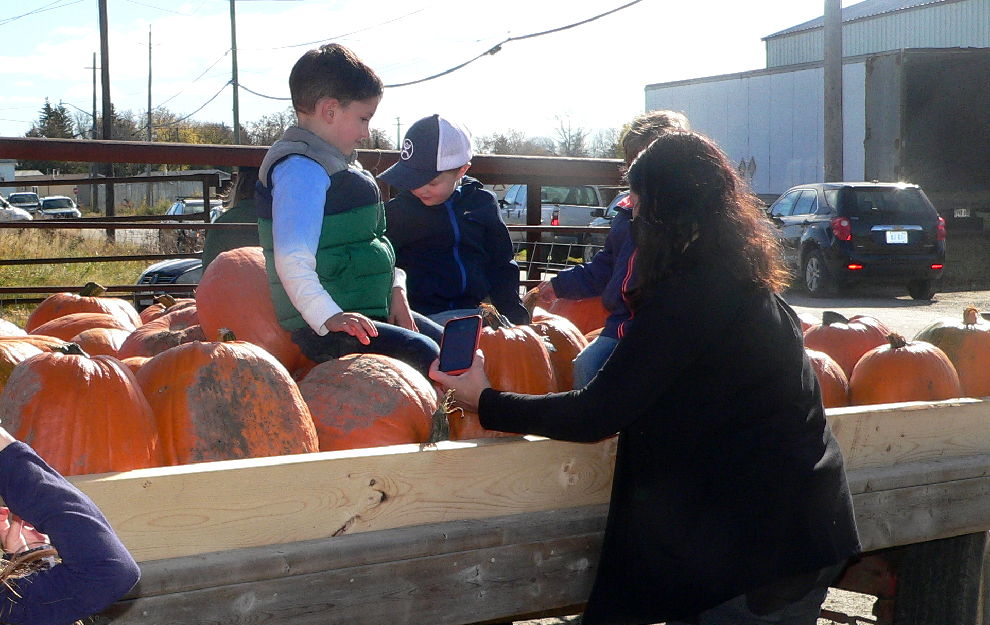 Harvest Market
