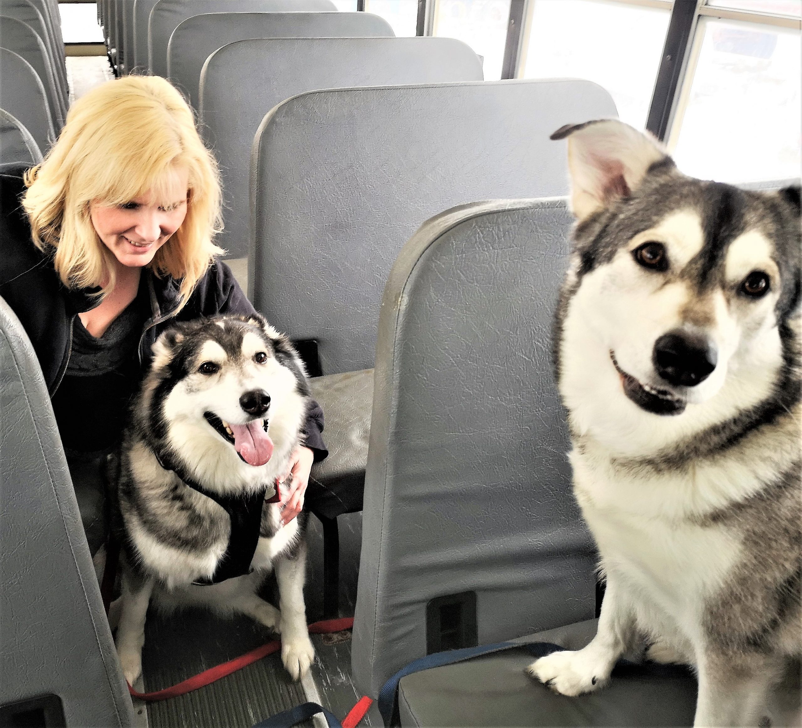 Paws for a cause this weekend
