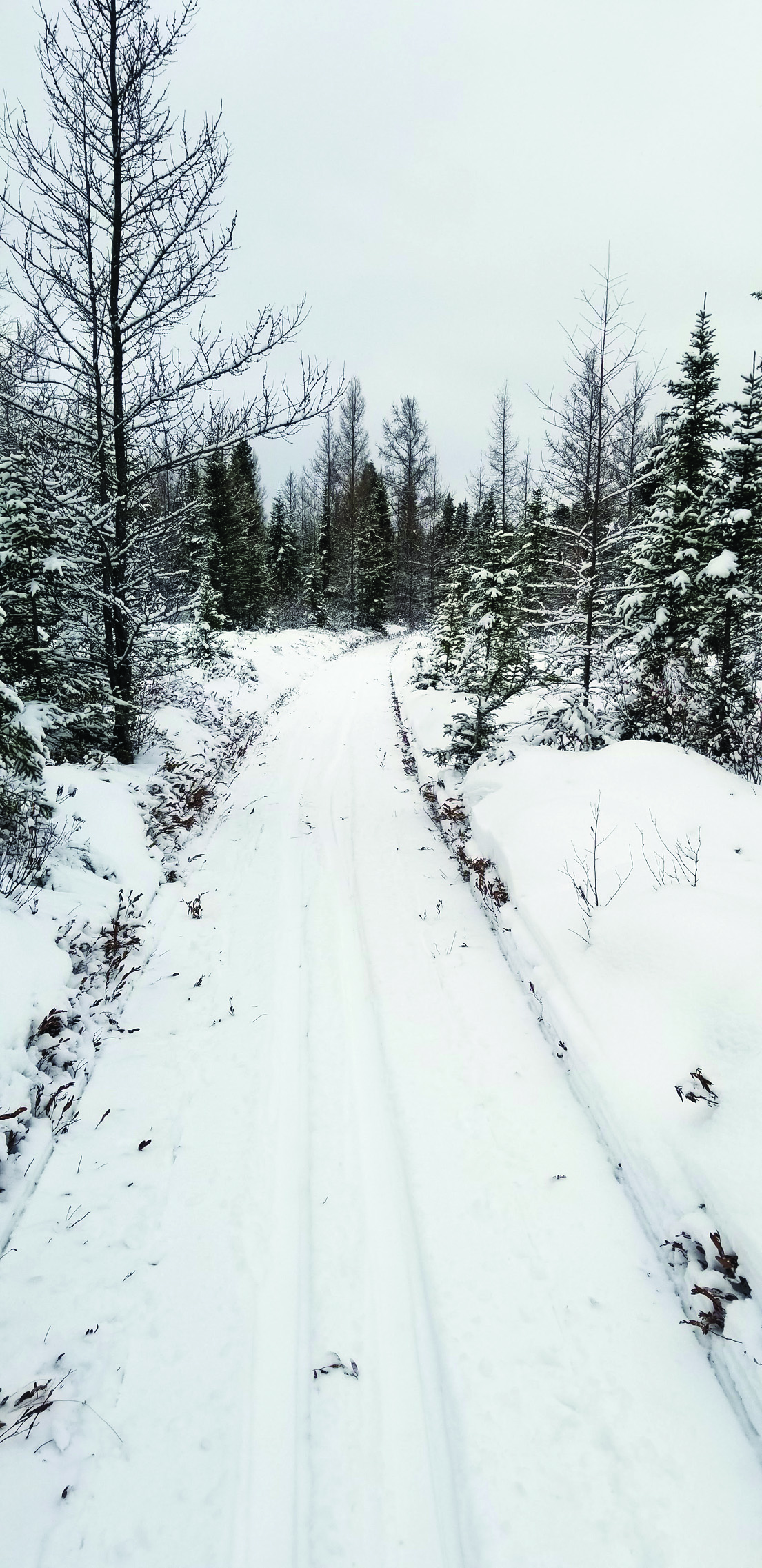 Sledders should make ‘safest bet’ for riding