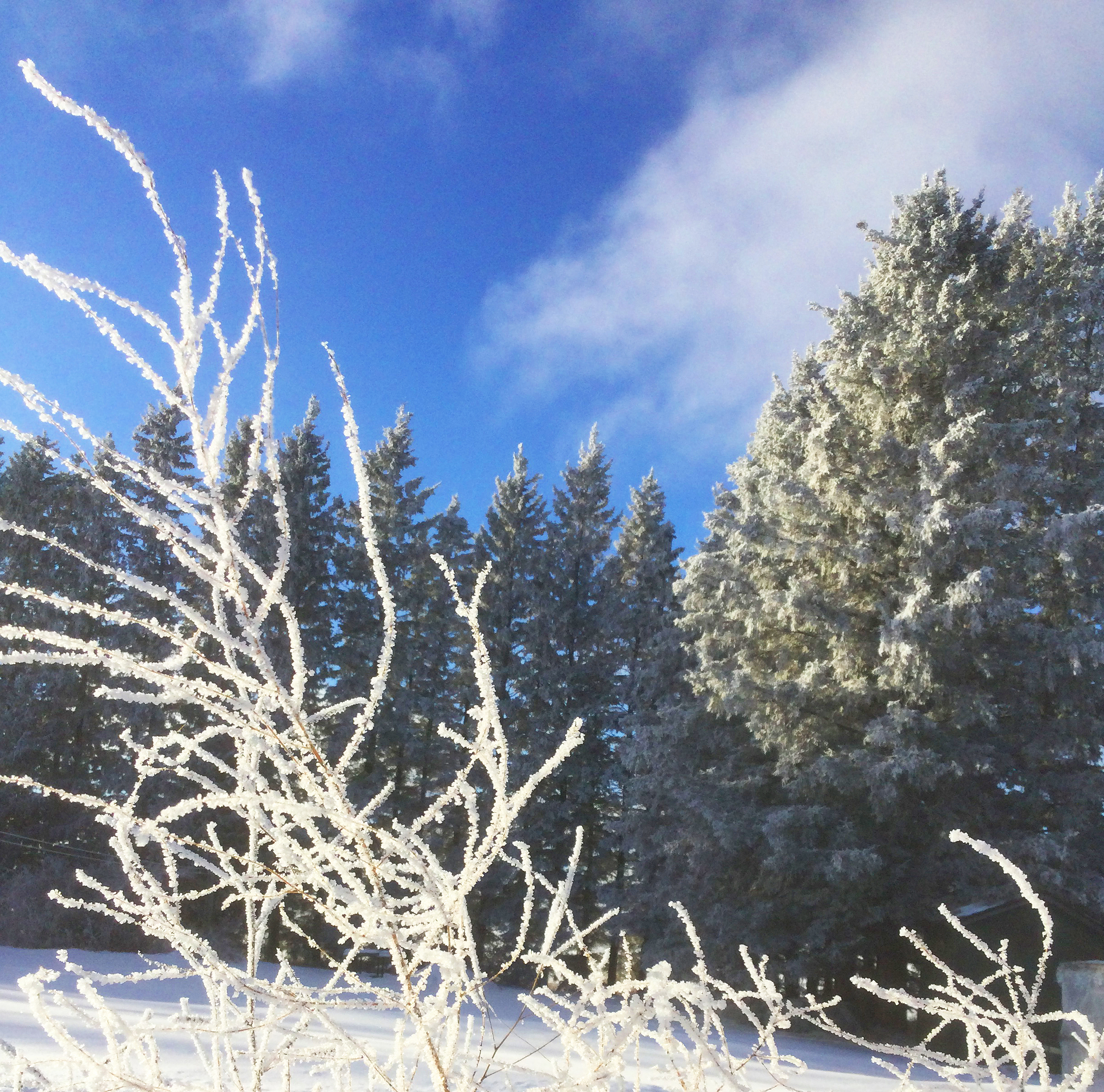 Marvelling at lack of snowfall