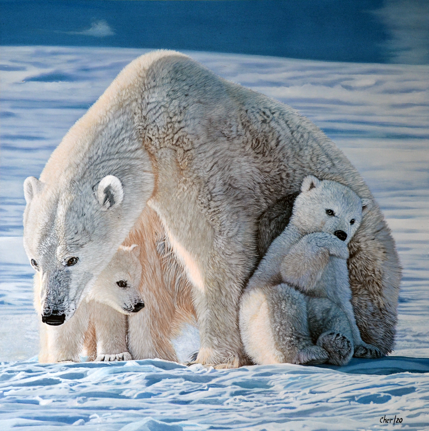 Calorie counting for polar bears: New study shows link between sea ice loss and polar bear decline