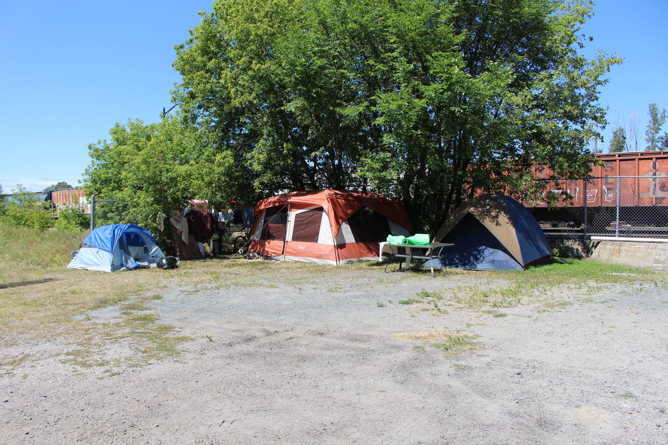 Council approves tenting report