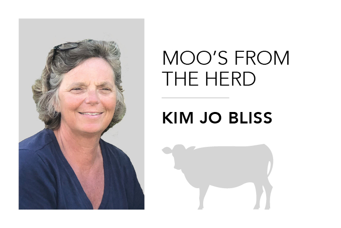 Moos on the move