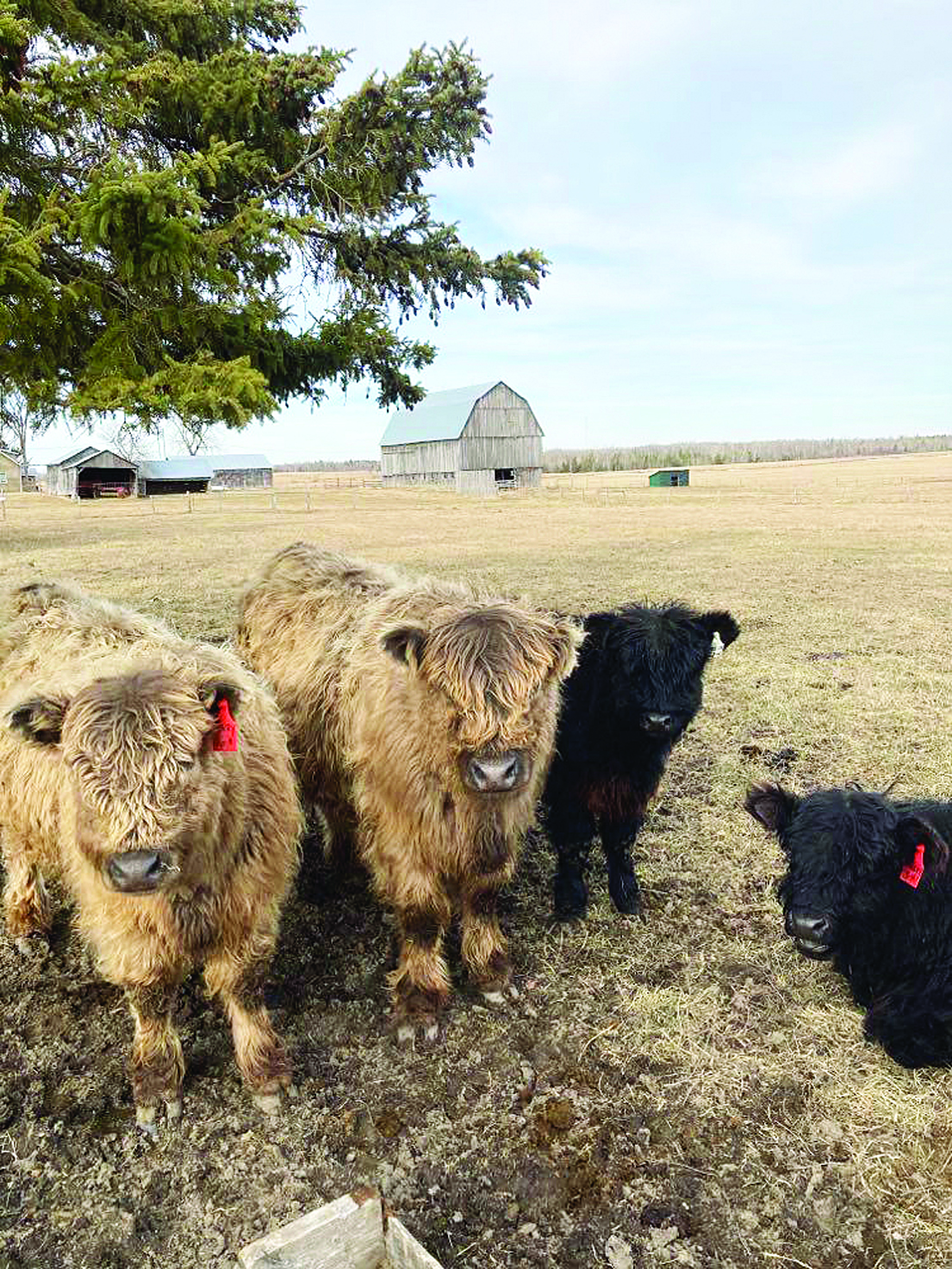 We herd it’s spring