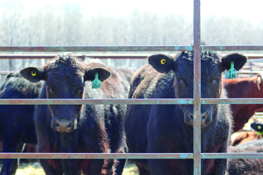 “What are you looking at?”