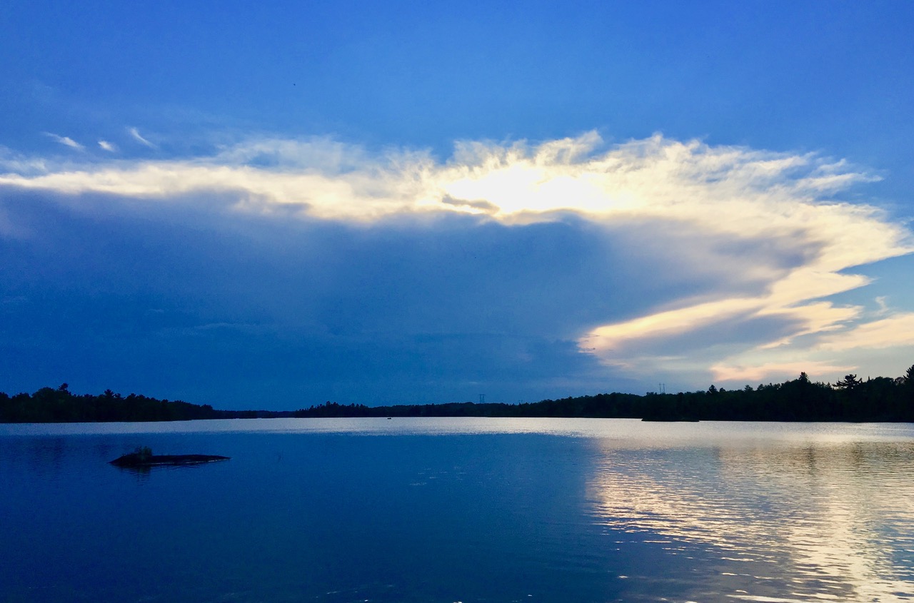 Birch Island works to implement unique turtle incubation project