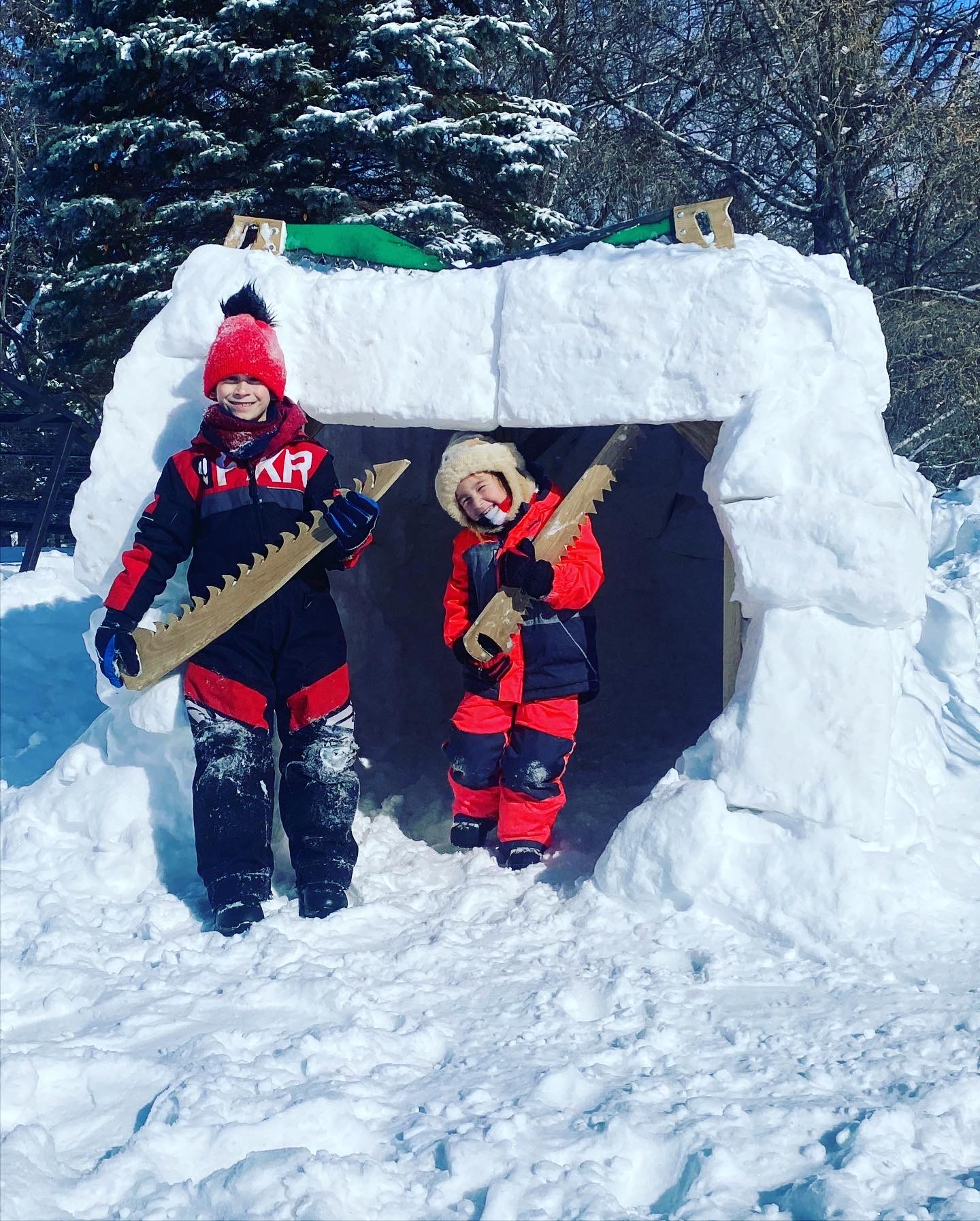 Family Day fort