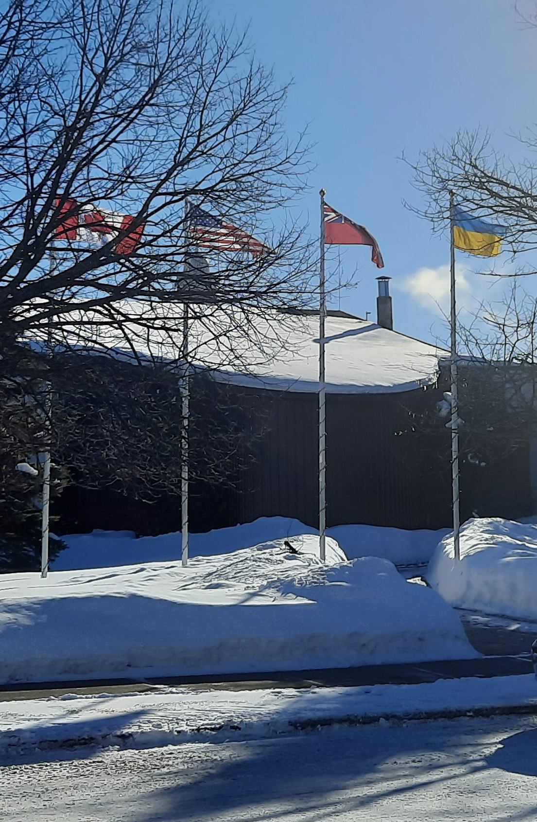 Standing with Ukraine