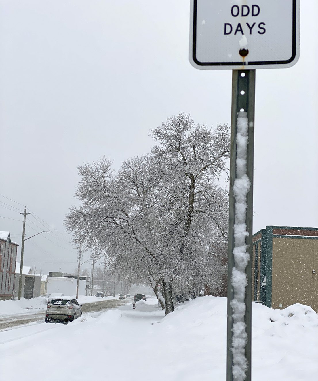 What a difference a day makes