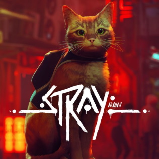 ‘Stray’ cat video game brings some benefits to real cats