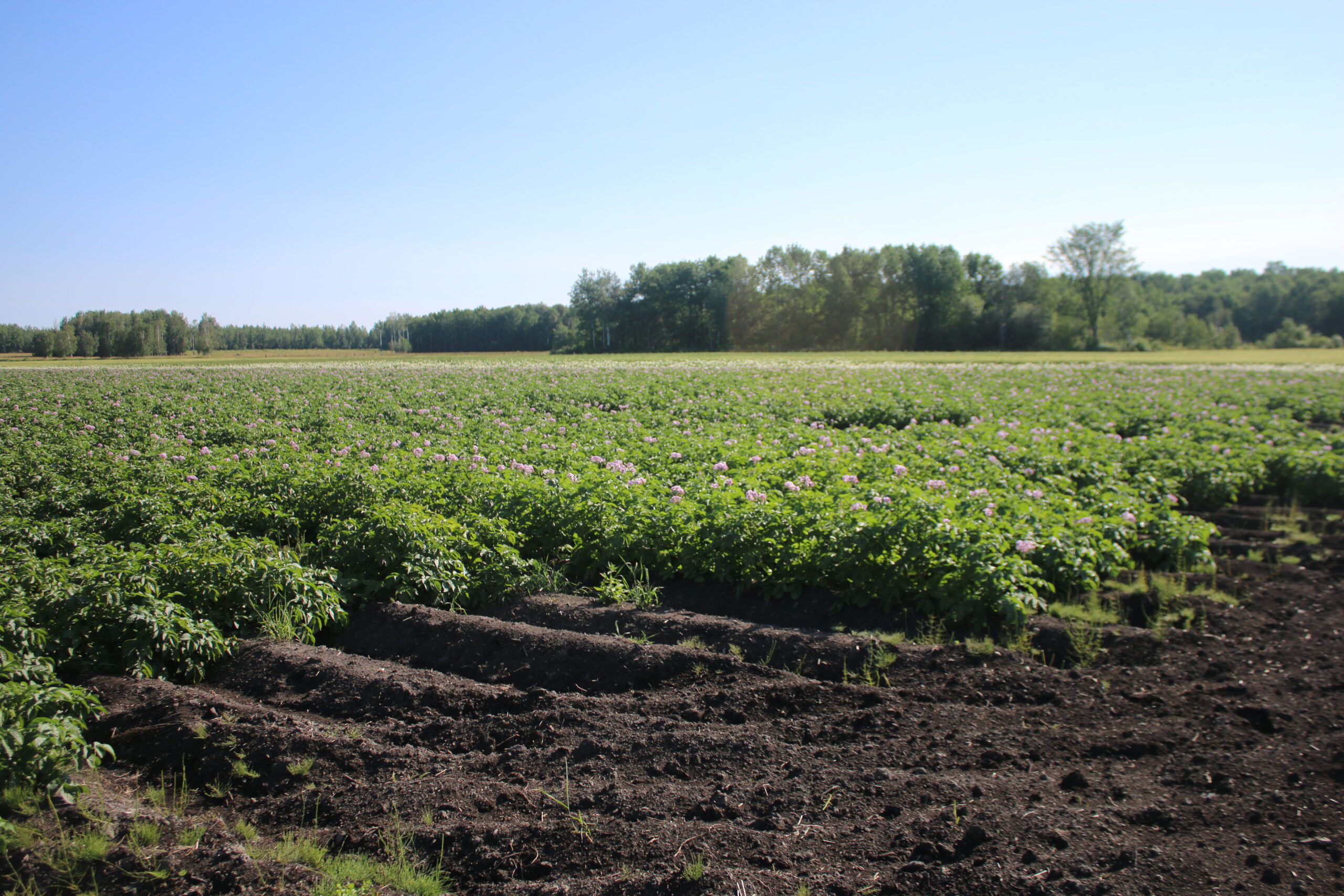 Ontario Farmland Trust celebrates 20th anniversary, unveils ambitious strategic plan