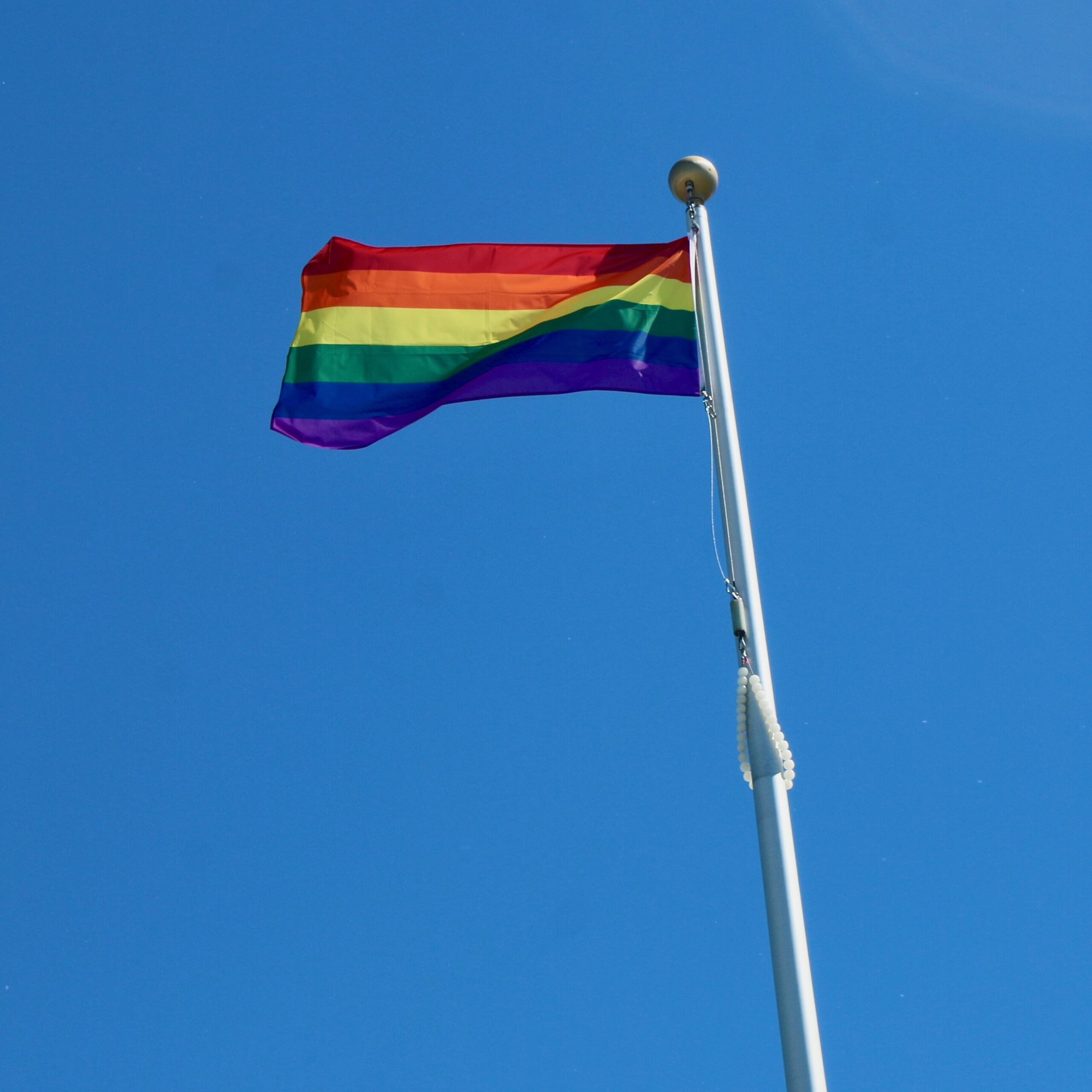 Borderland Pride gains supporting arguments from intervenors for judicial review of HRTO decision