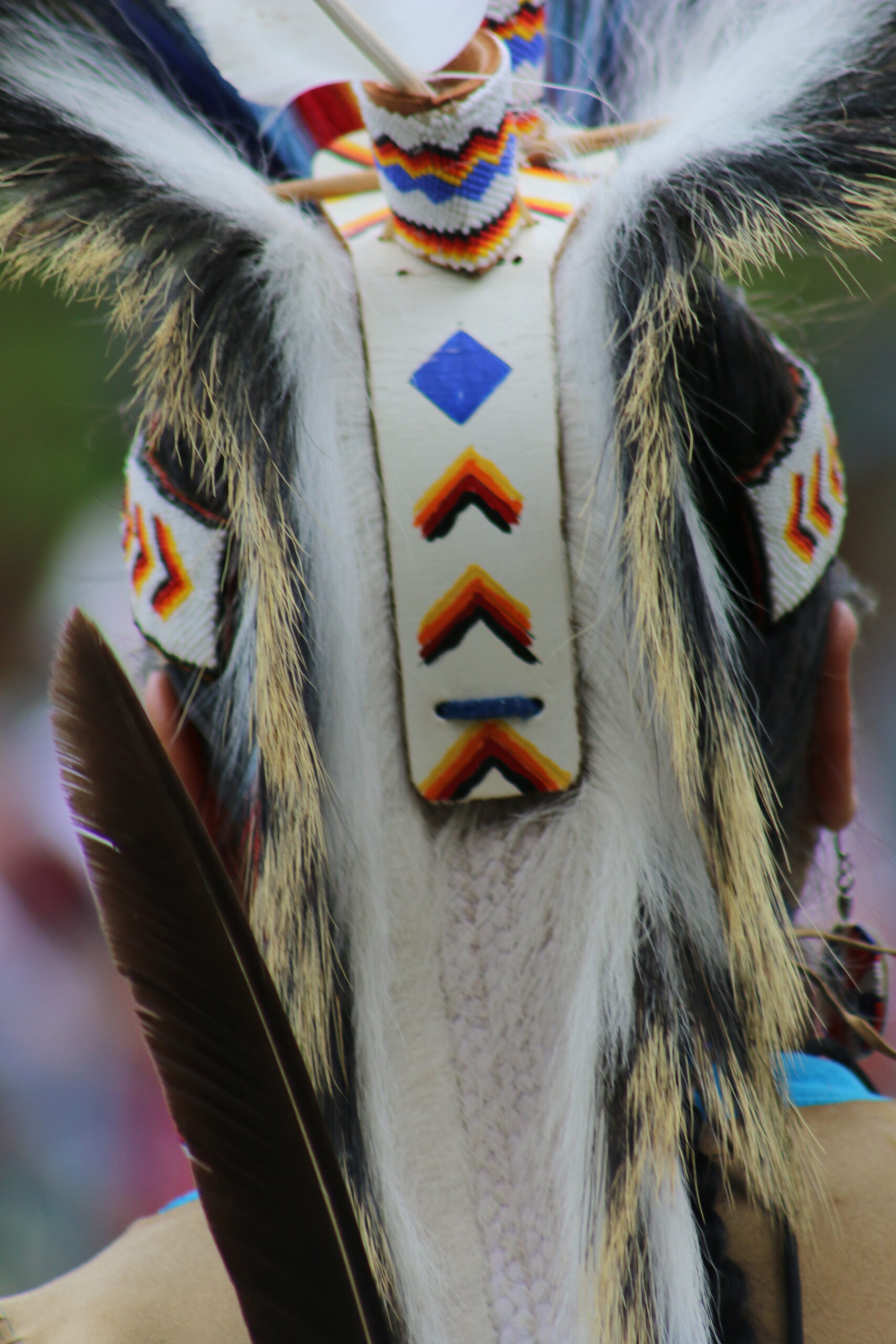 Flood education with Indigenous knowledge: expert