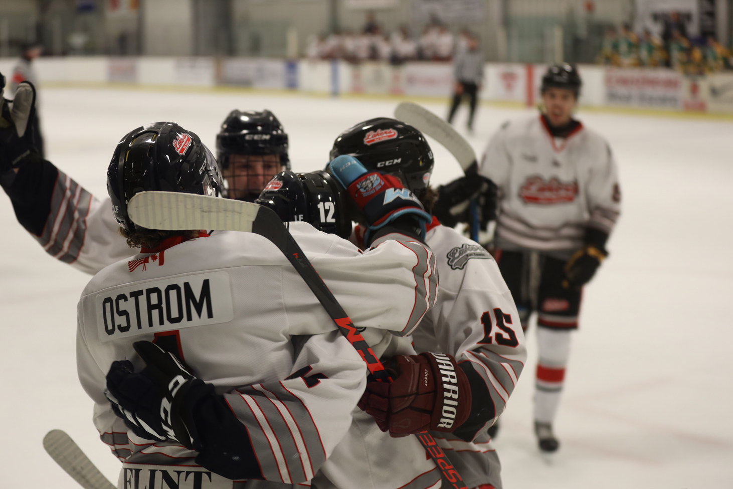 Lakers win by forfeit after 8-1 loss