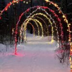 Winter Wonderland brings magic of Christmas
