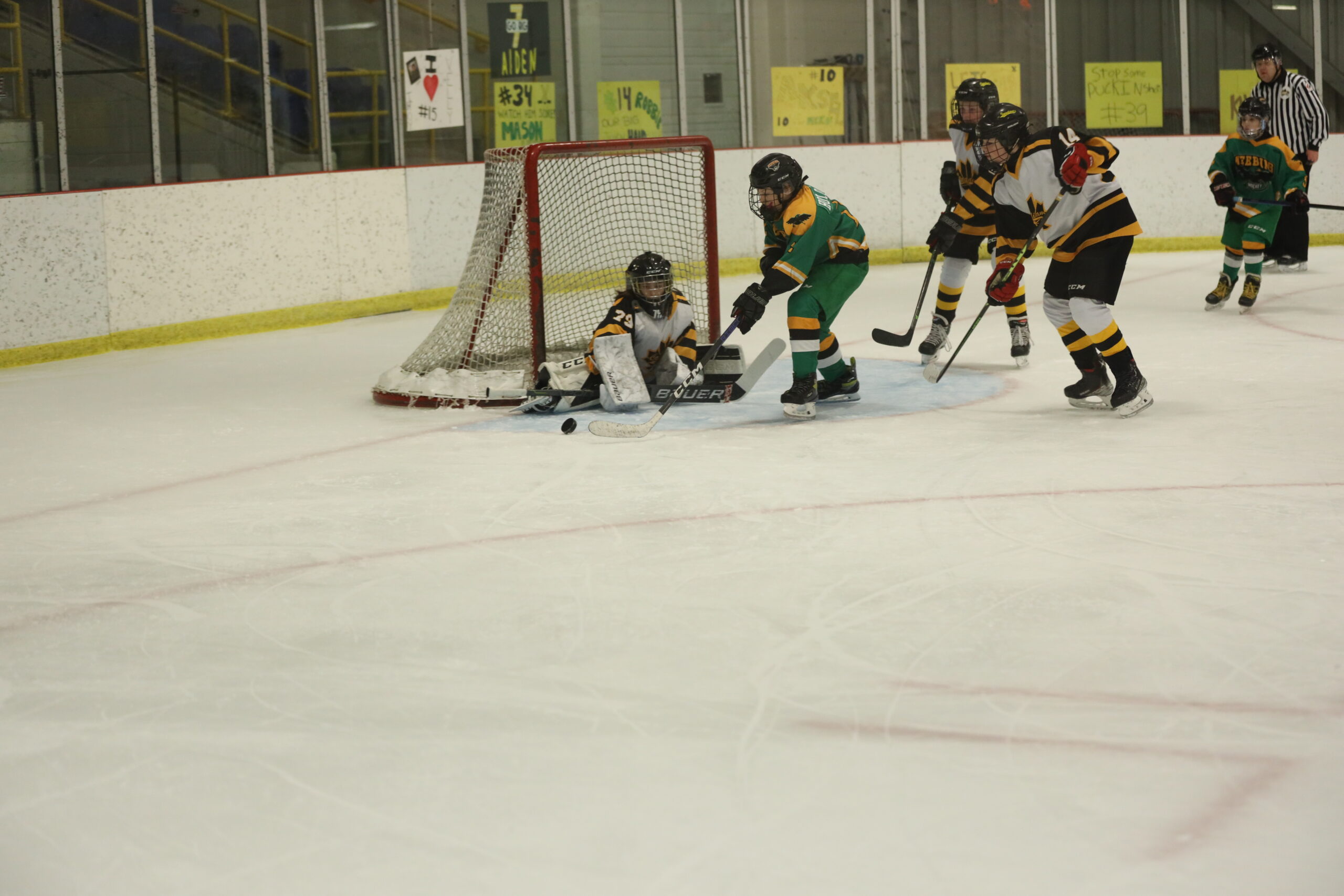 They shoot and score bronze