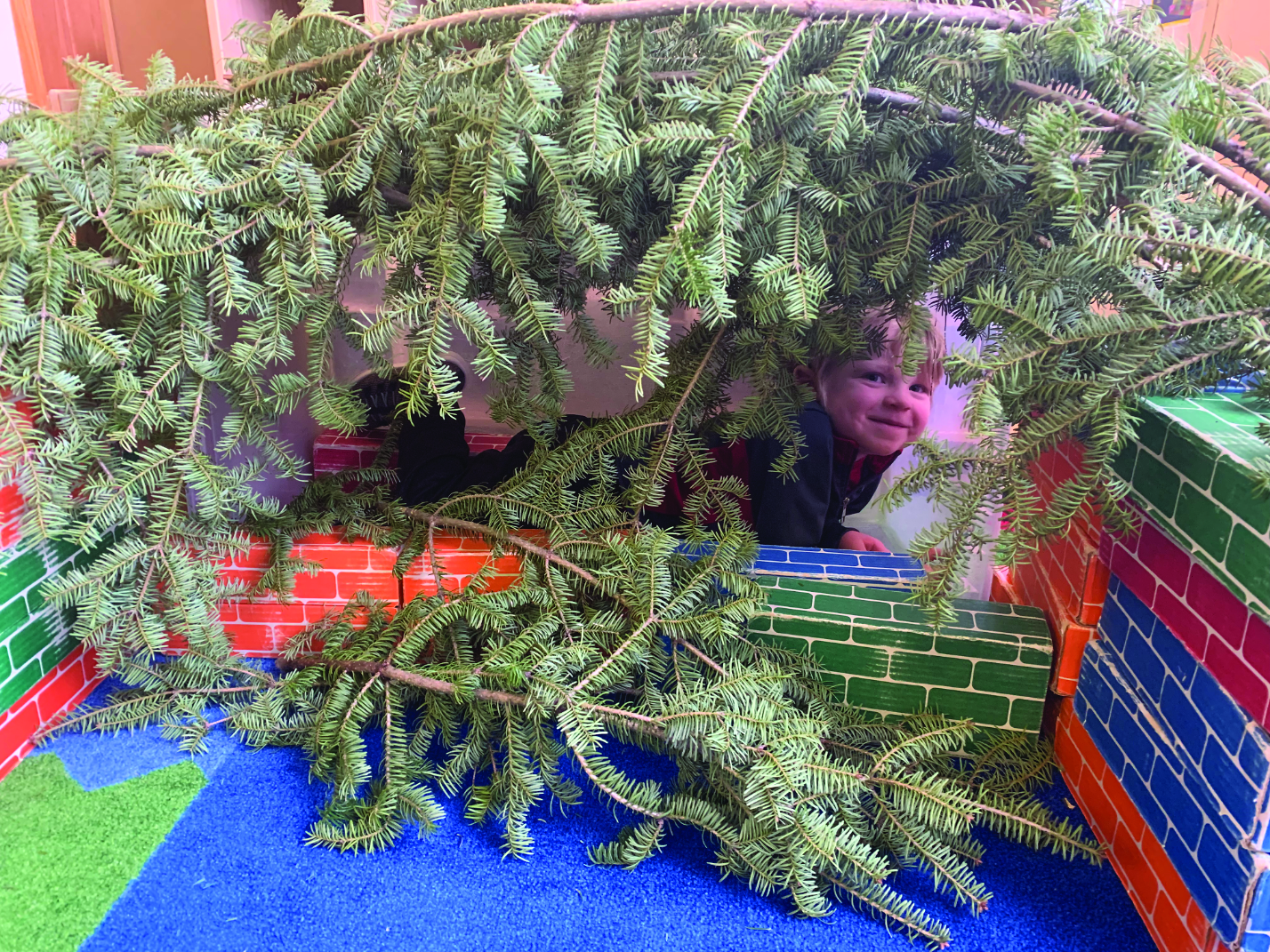 Where the wild things are