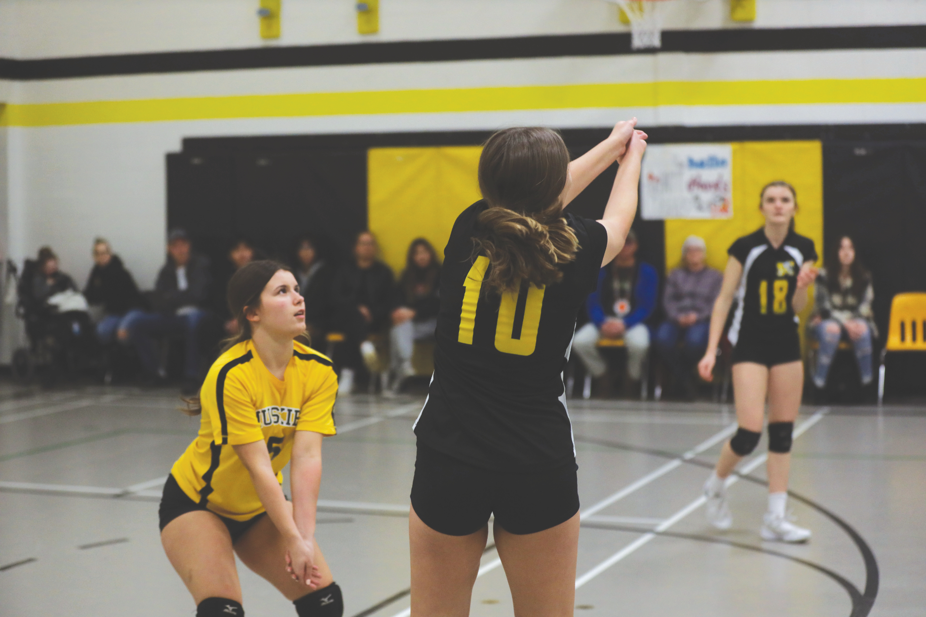 Muskies championship bound