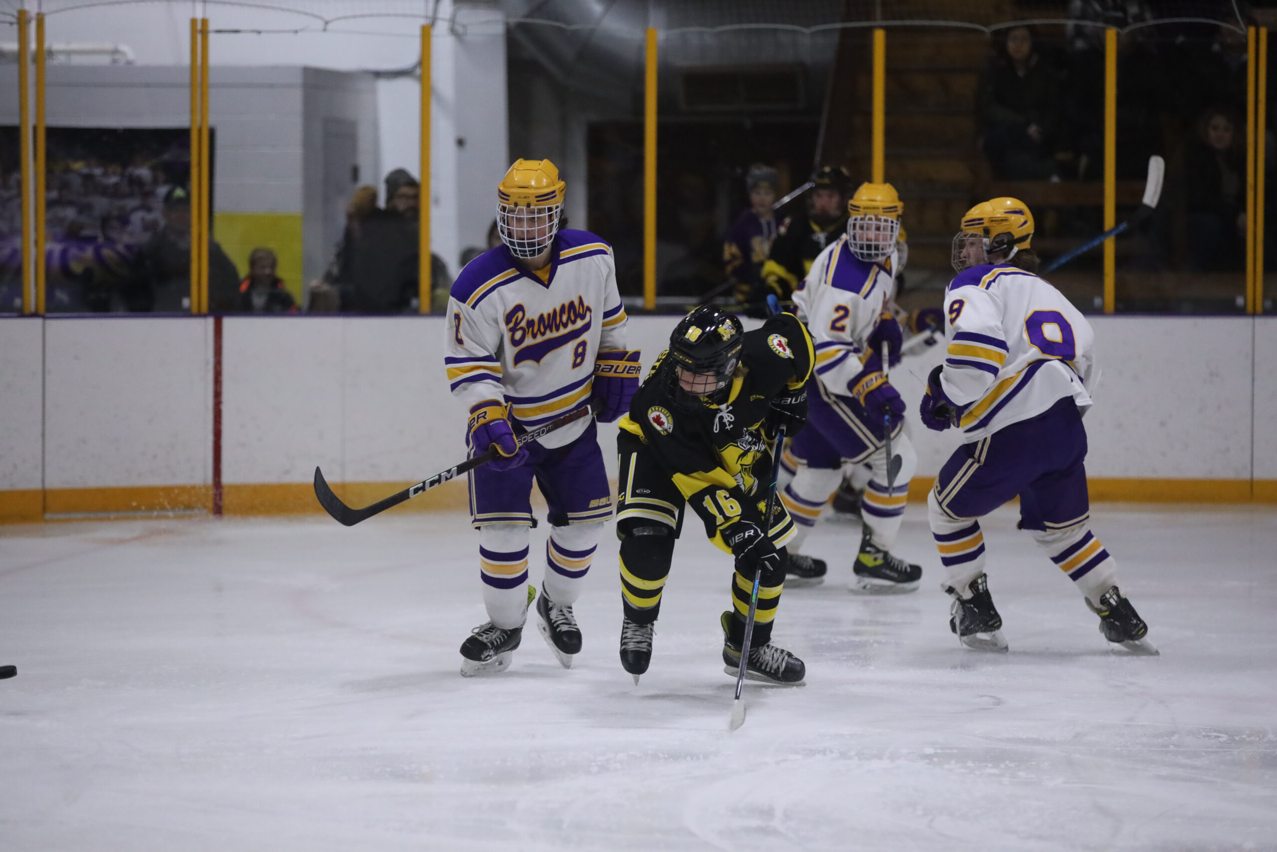 Muskies head to final series