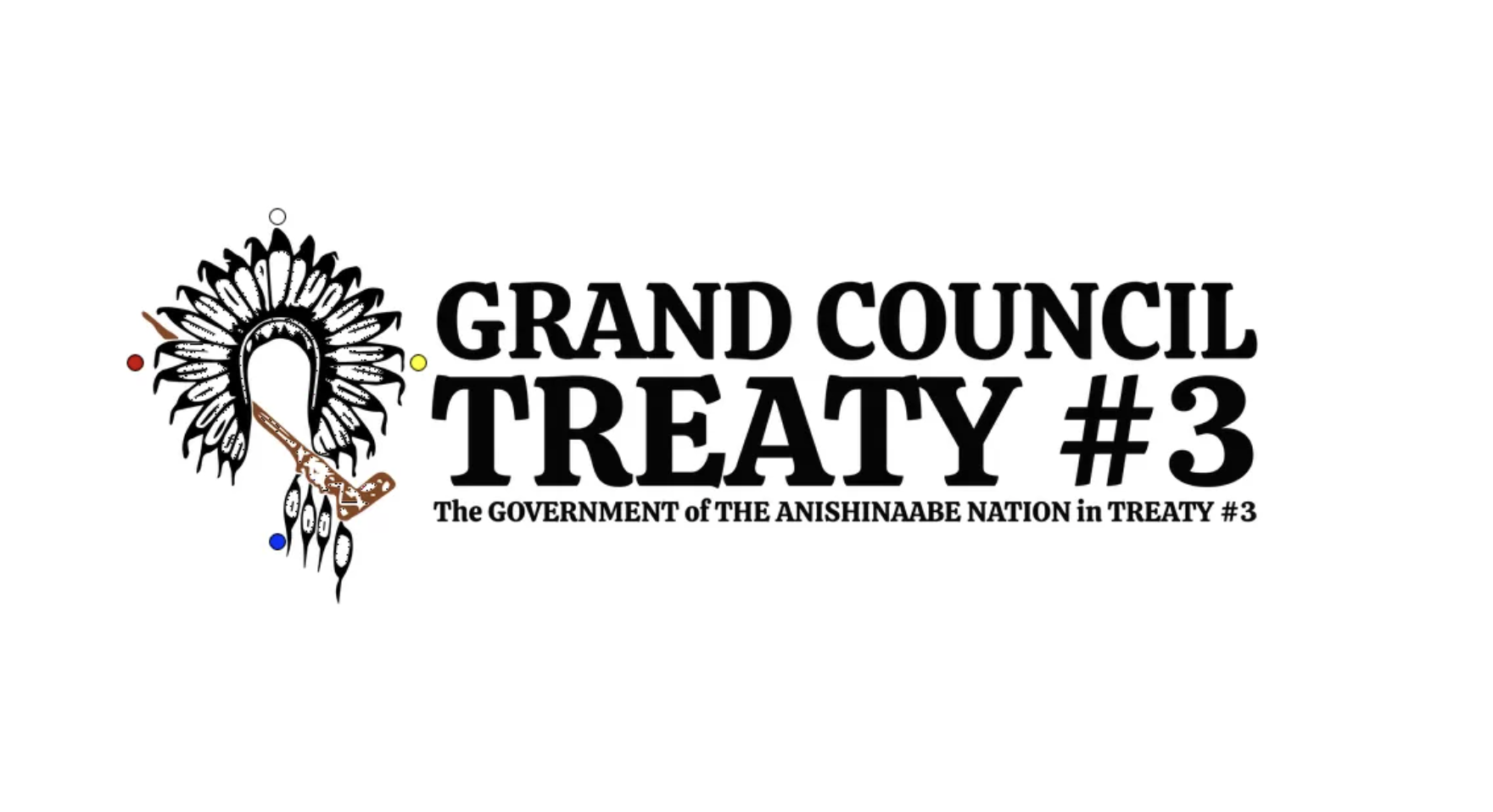Treaty #3 Grand Council warns members of potential hassles from ICE