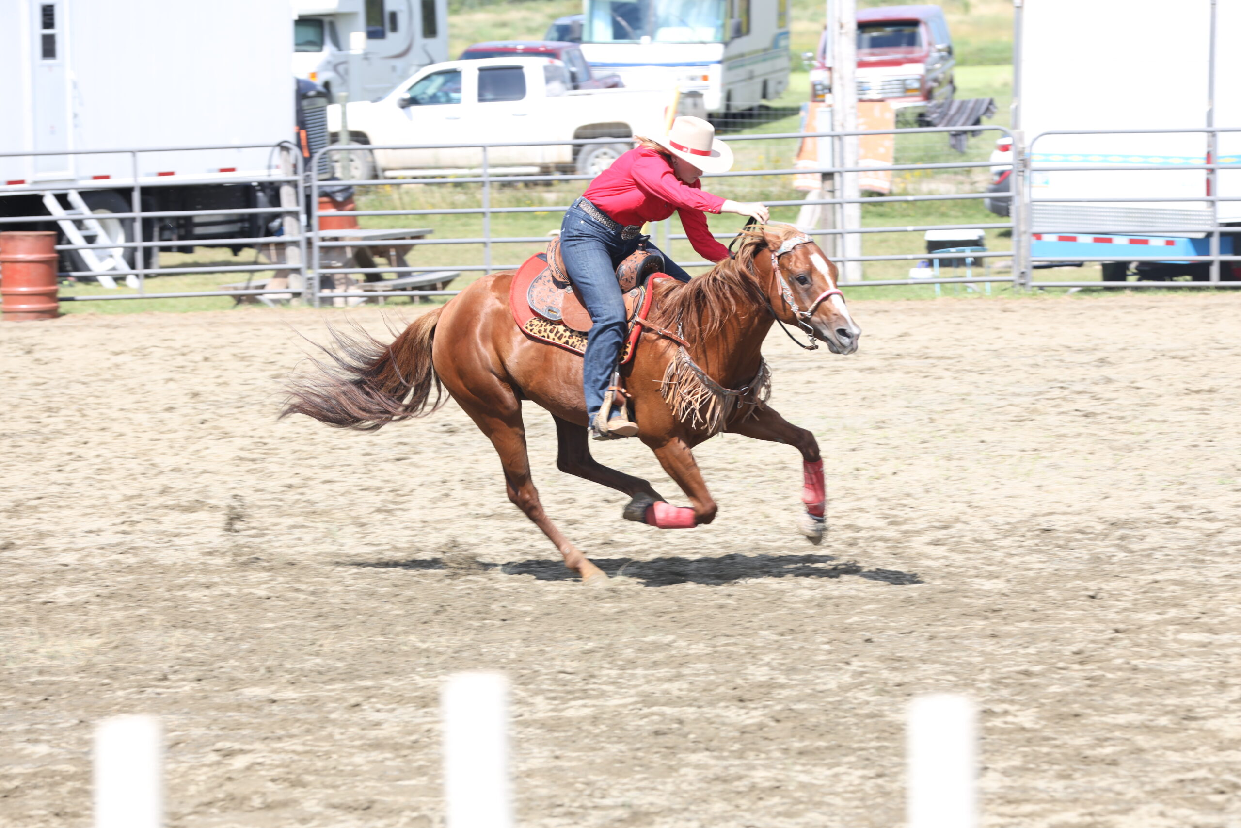 Horse shows ready to run at the Emo Fair