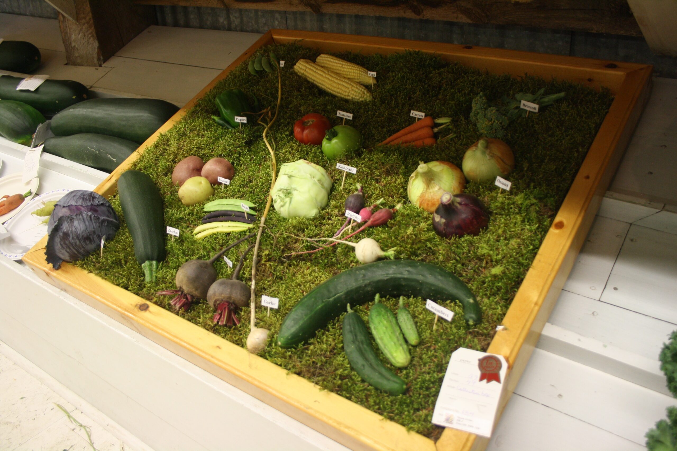 See the great displays at the Exhibition Hall