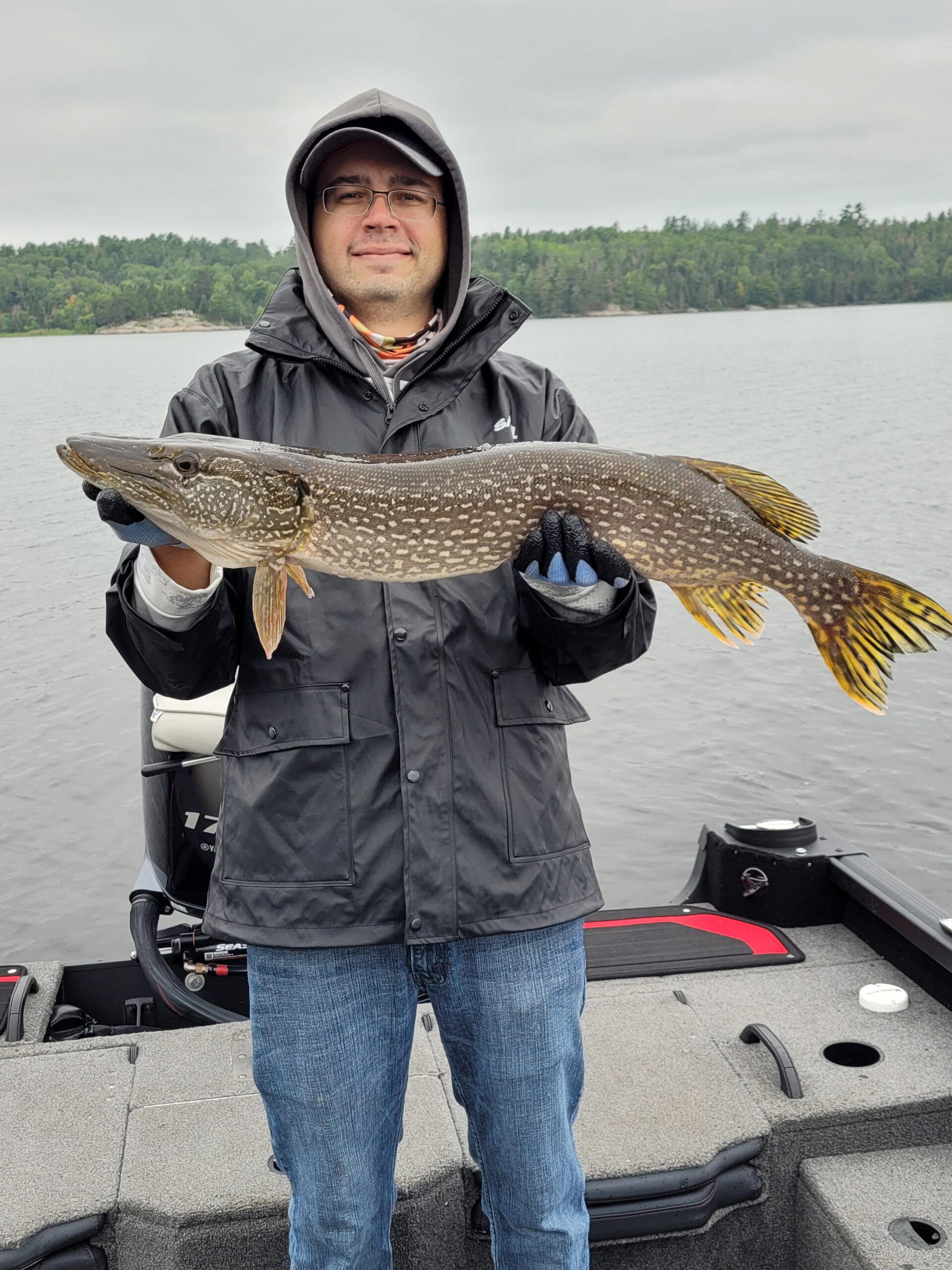 Picture-perfect pike