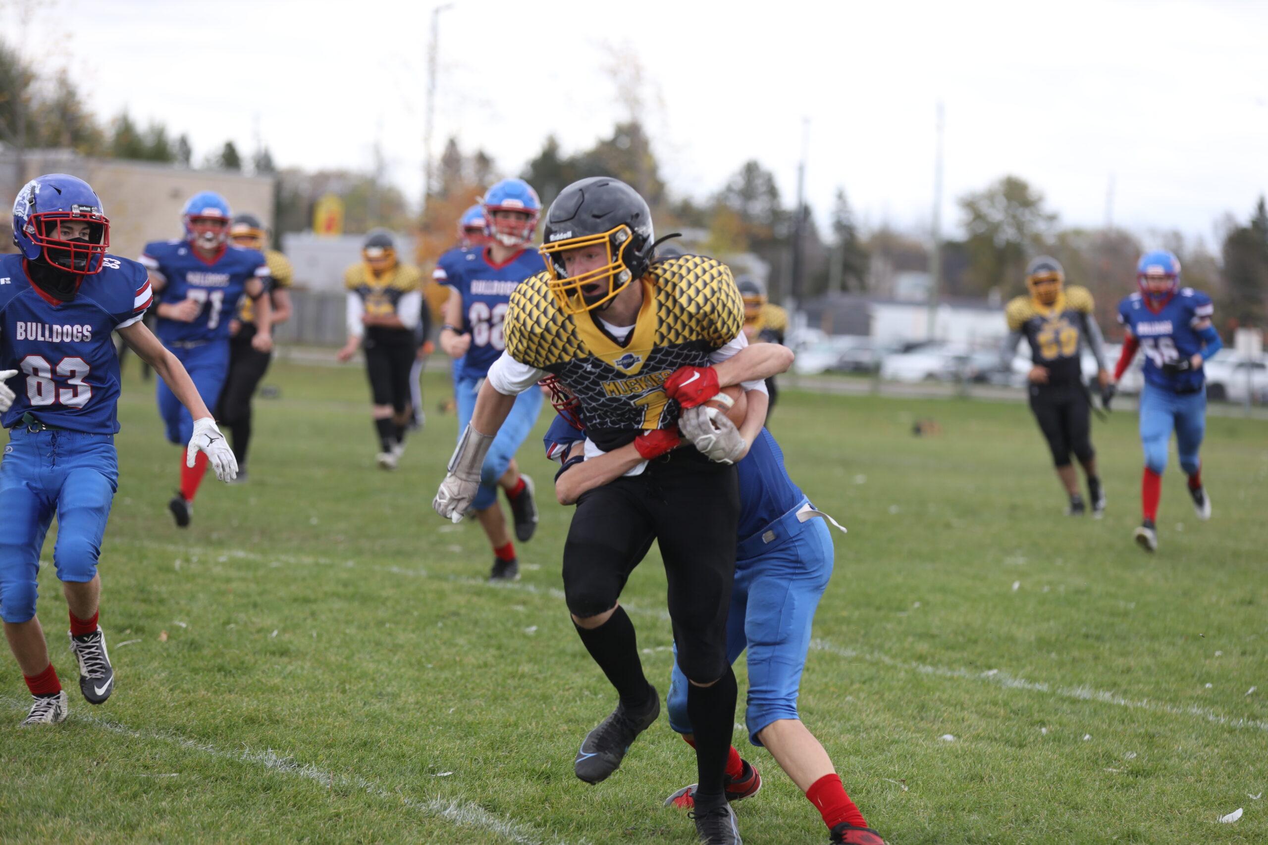 Muskies win ahead of final regular season game