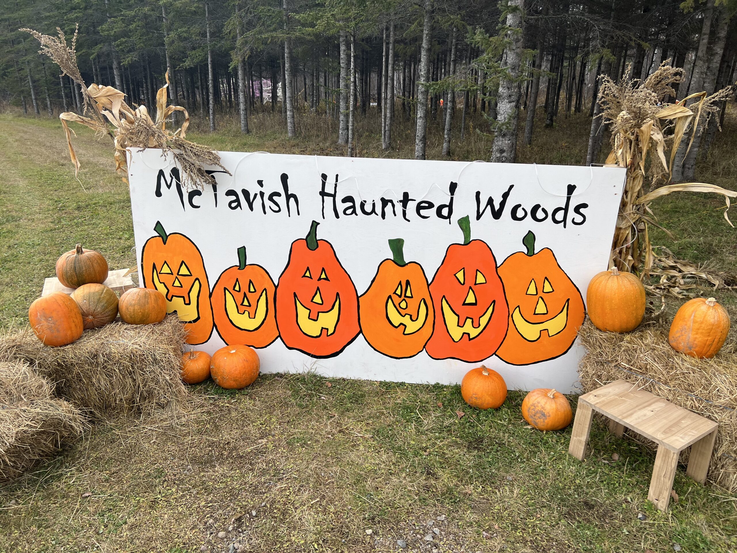 McTavish haunted Woods set to spook, scare and delight all ages