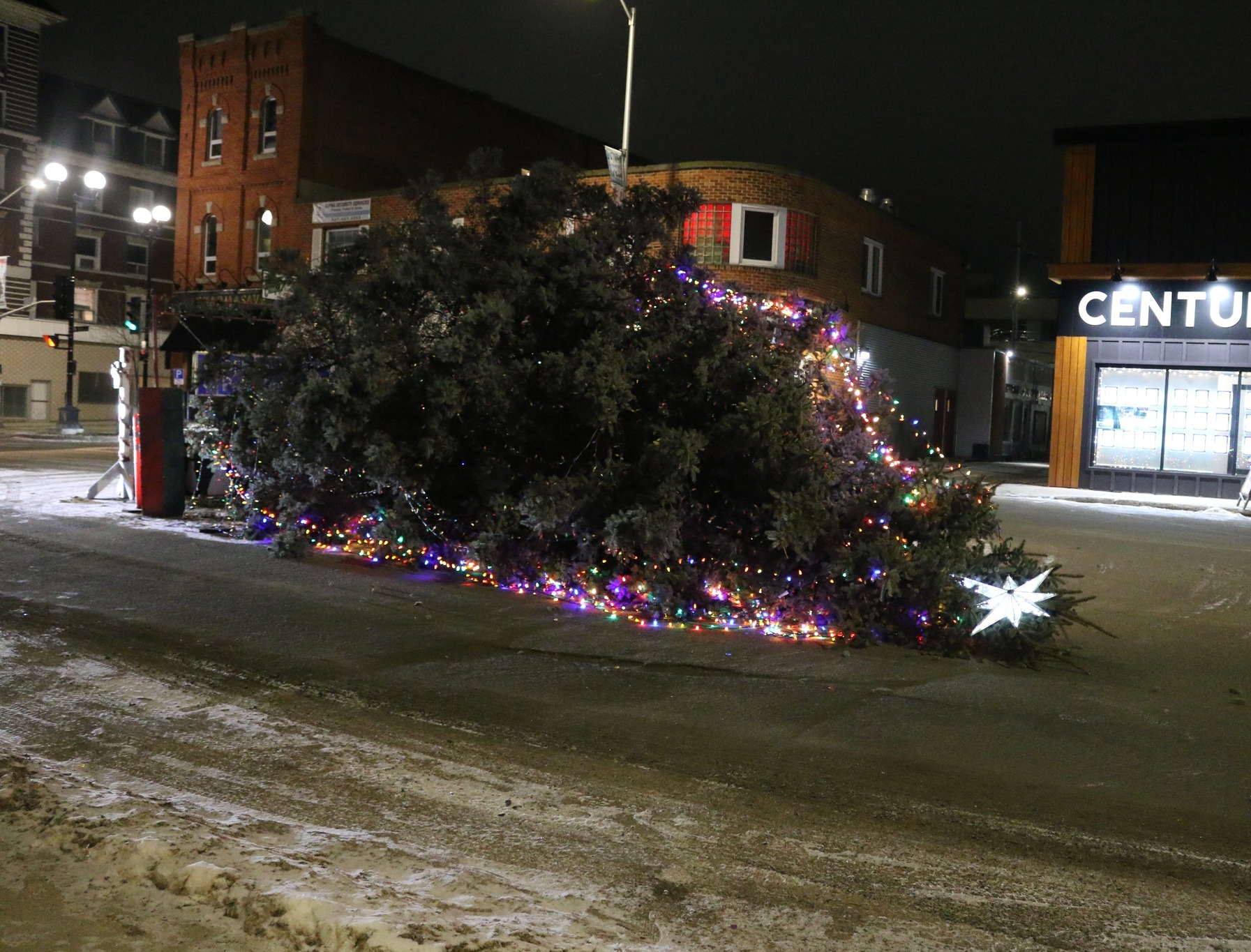 Christmas tree mischief in Kenora