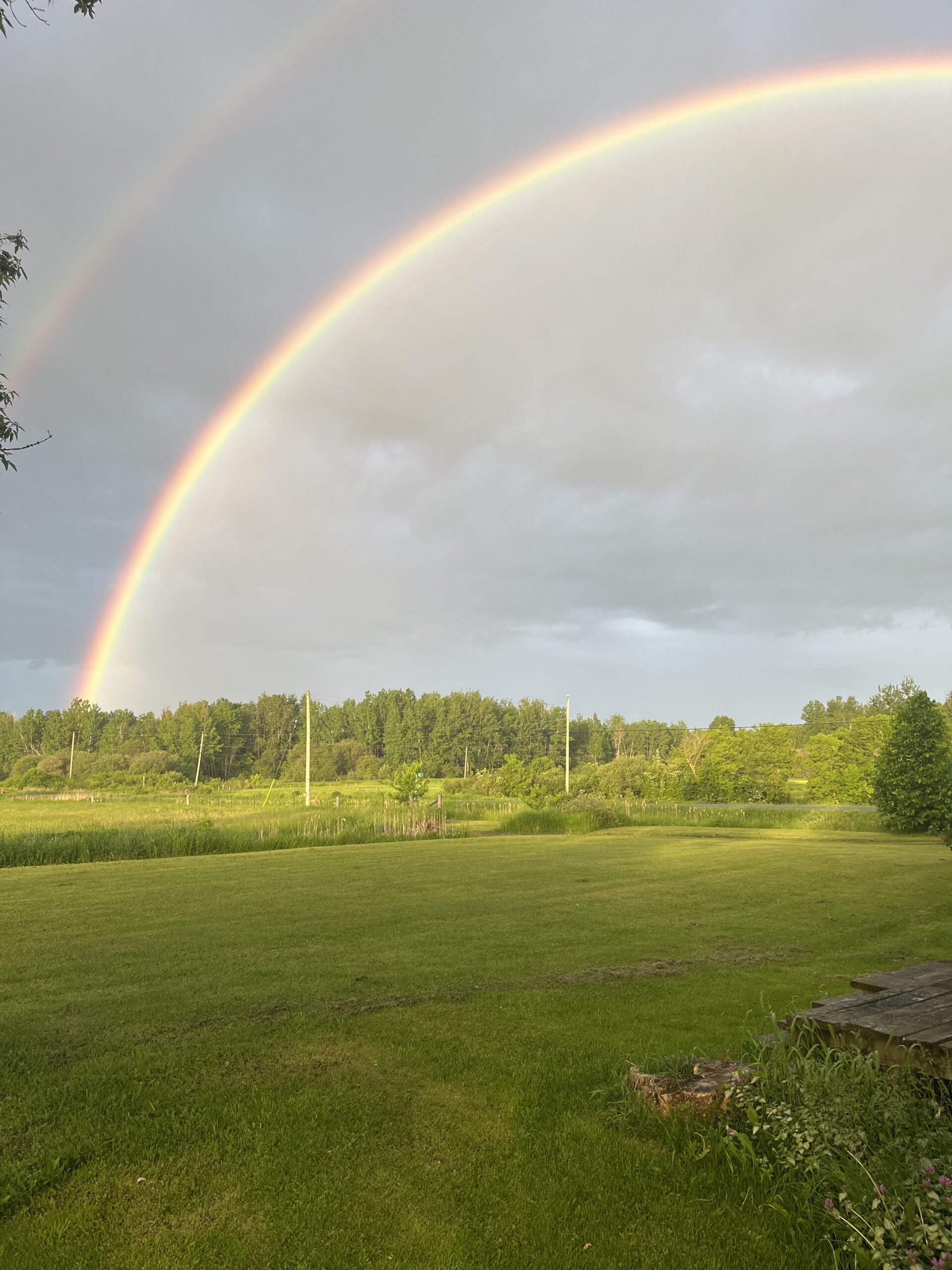 Farmland protection priority for Green Party