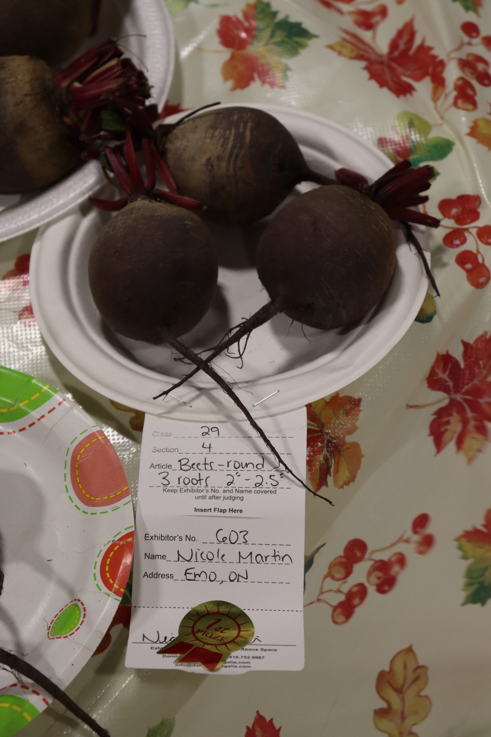 A prize-winning beet is a testament to human endeavour, in a way
