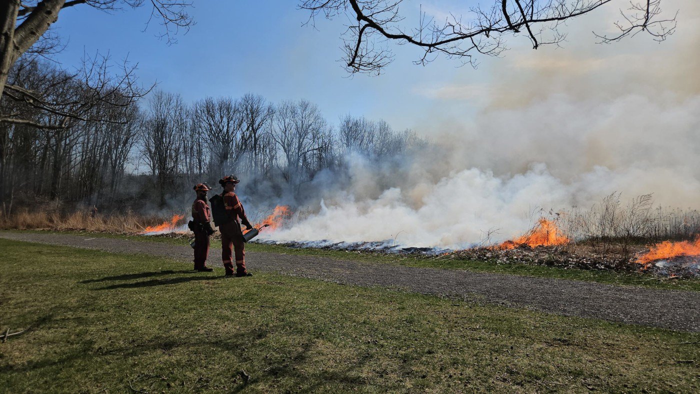 The Sacred Flame: how controlled burns at the Royal Botanical Gardens help restore balance to the land