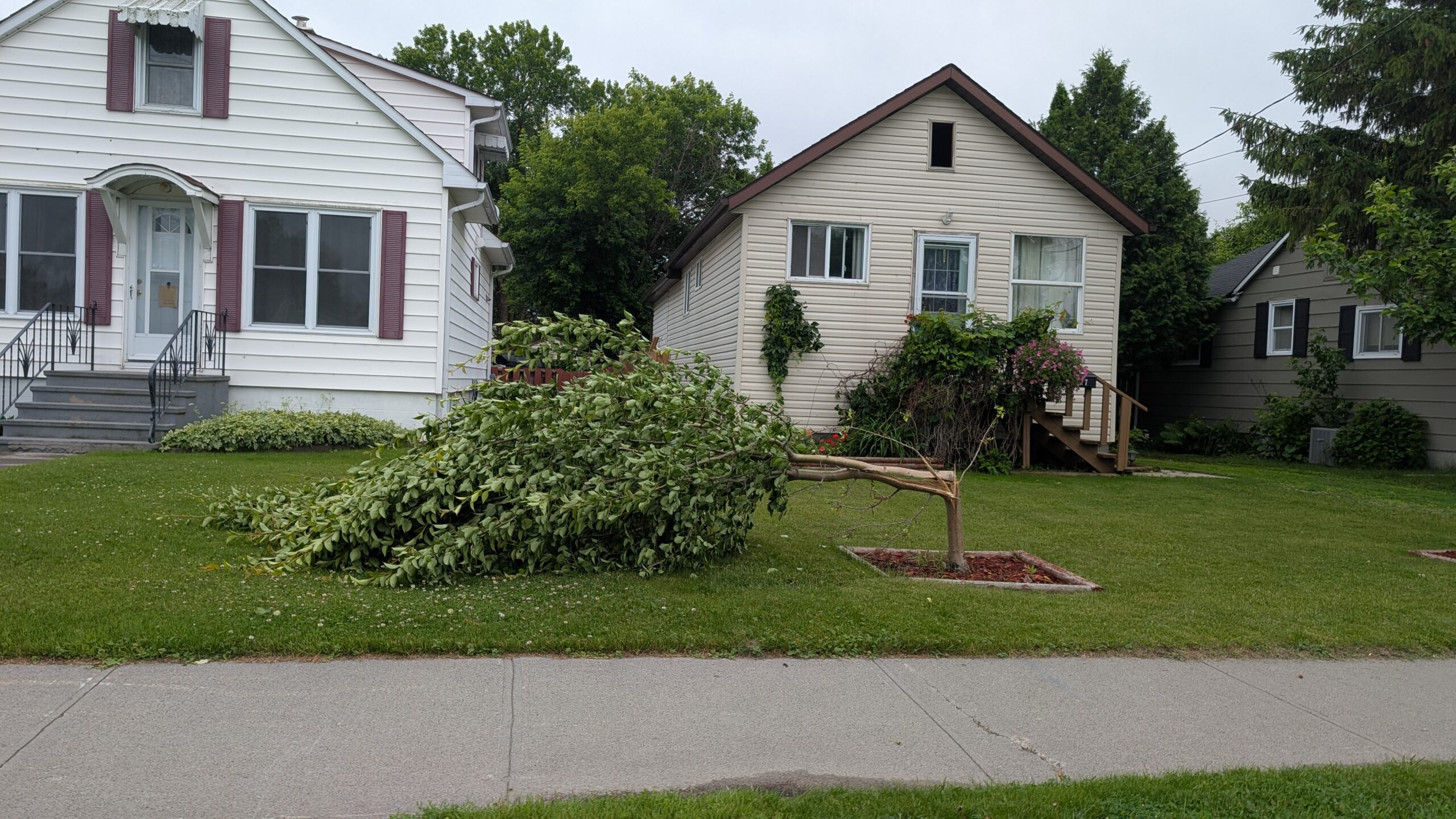 Storm causes damage throughout town