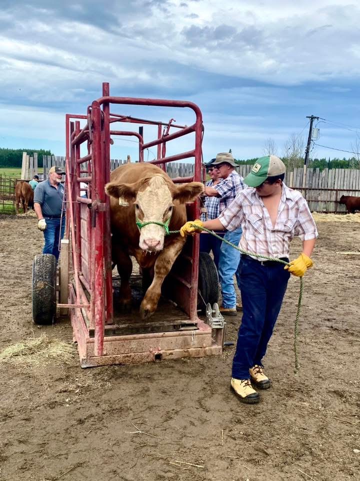 United Beef Club 4-H Funday Press Report 