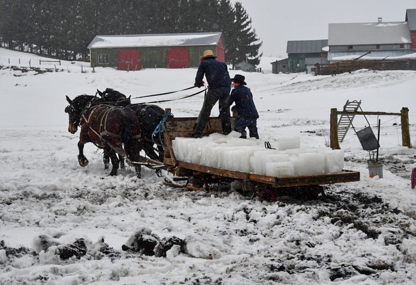 Speaker shares how Amish keep food cold year-round with pond ice