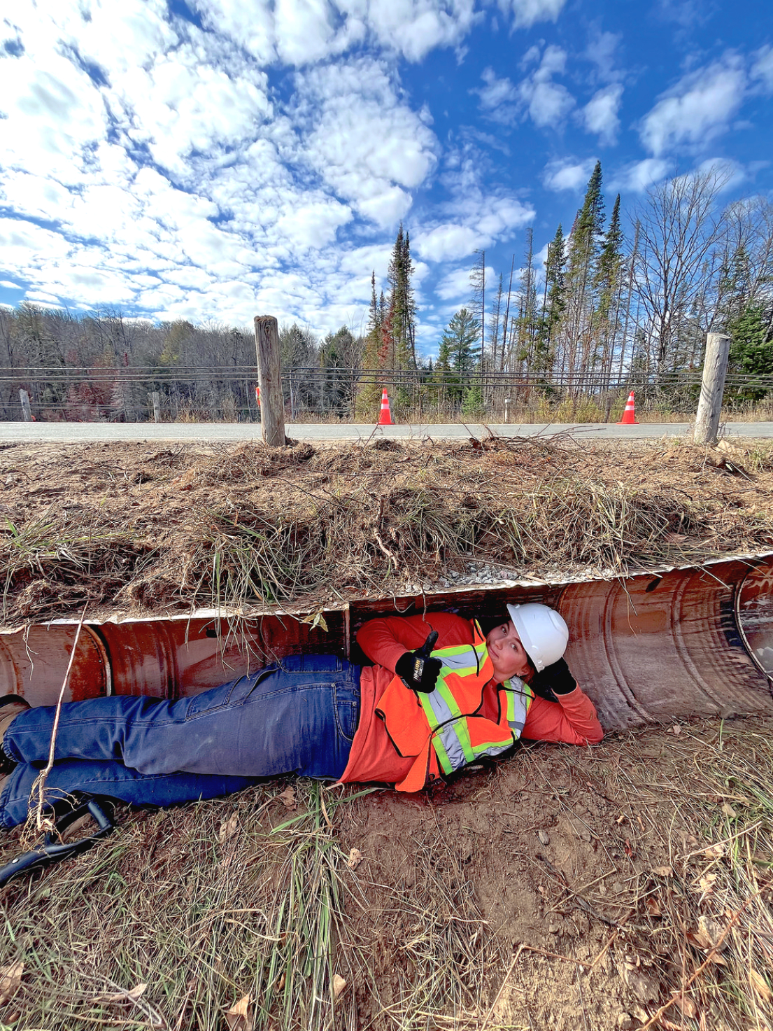 Ecopassages saving Ontario Highlands’ turtles