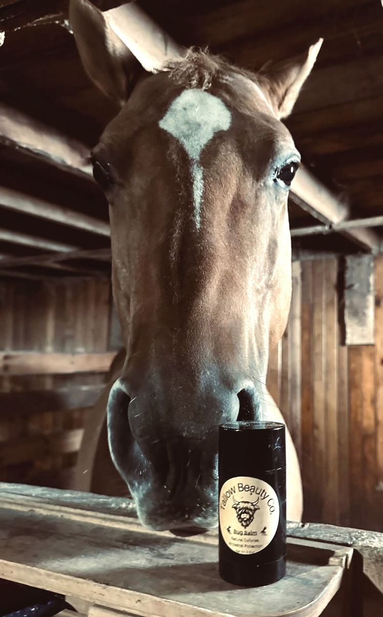 Tallow Beauty Co.: Natural skincare courtesy of your friendly neighborhood cow