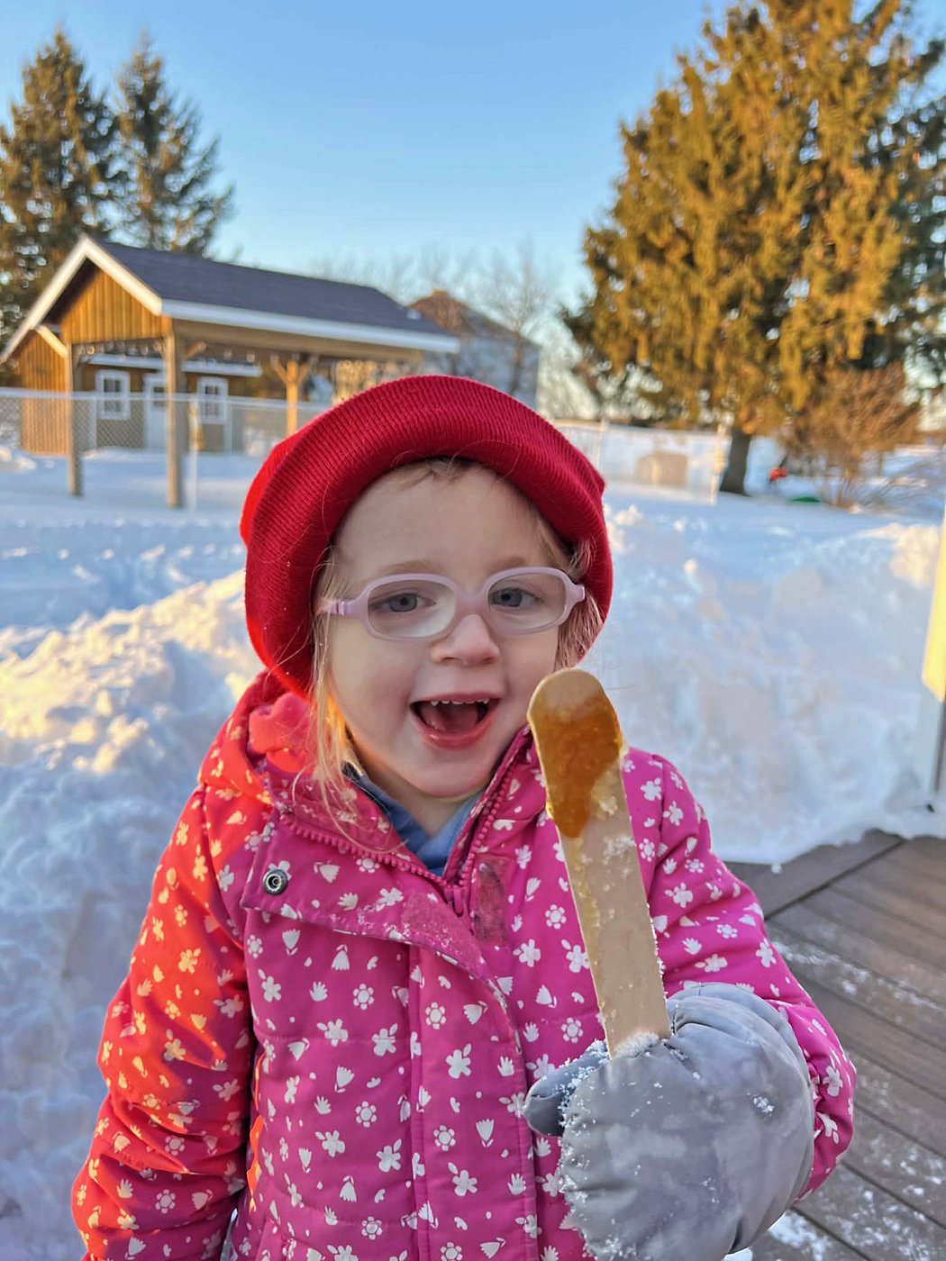 Slow start to sweet maple syrup time