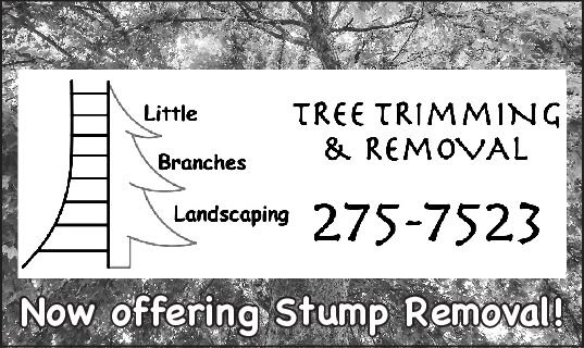Little Branches Landscaping
