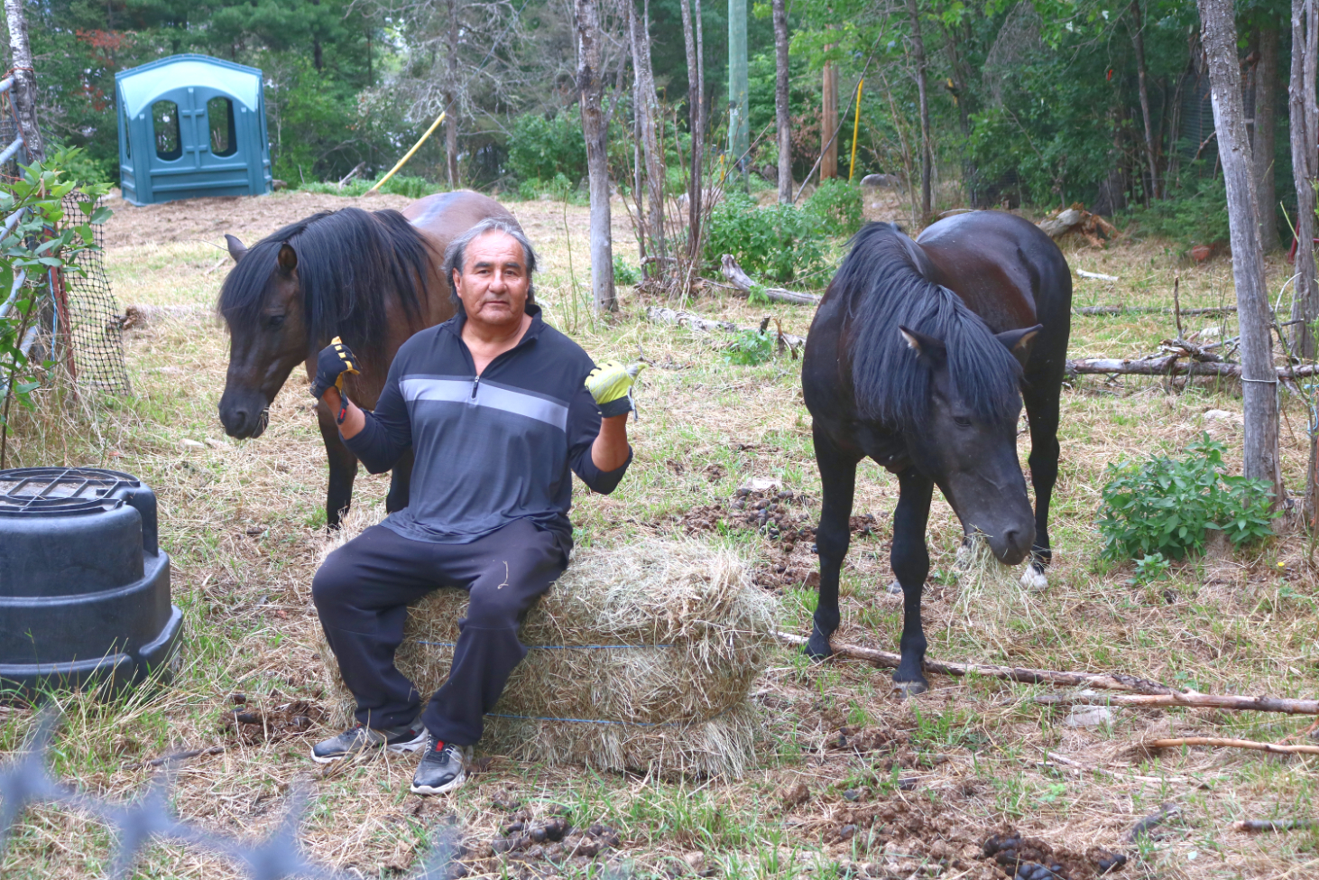 Darcy Whitecrow: Author, horse breeder, steward of Ojibwe culture