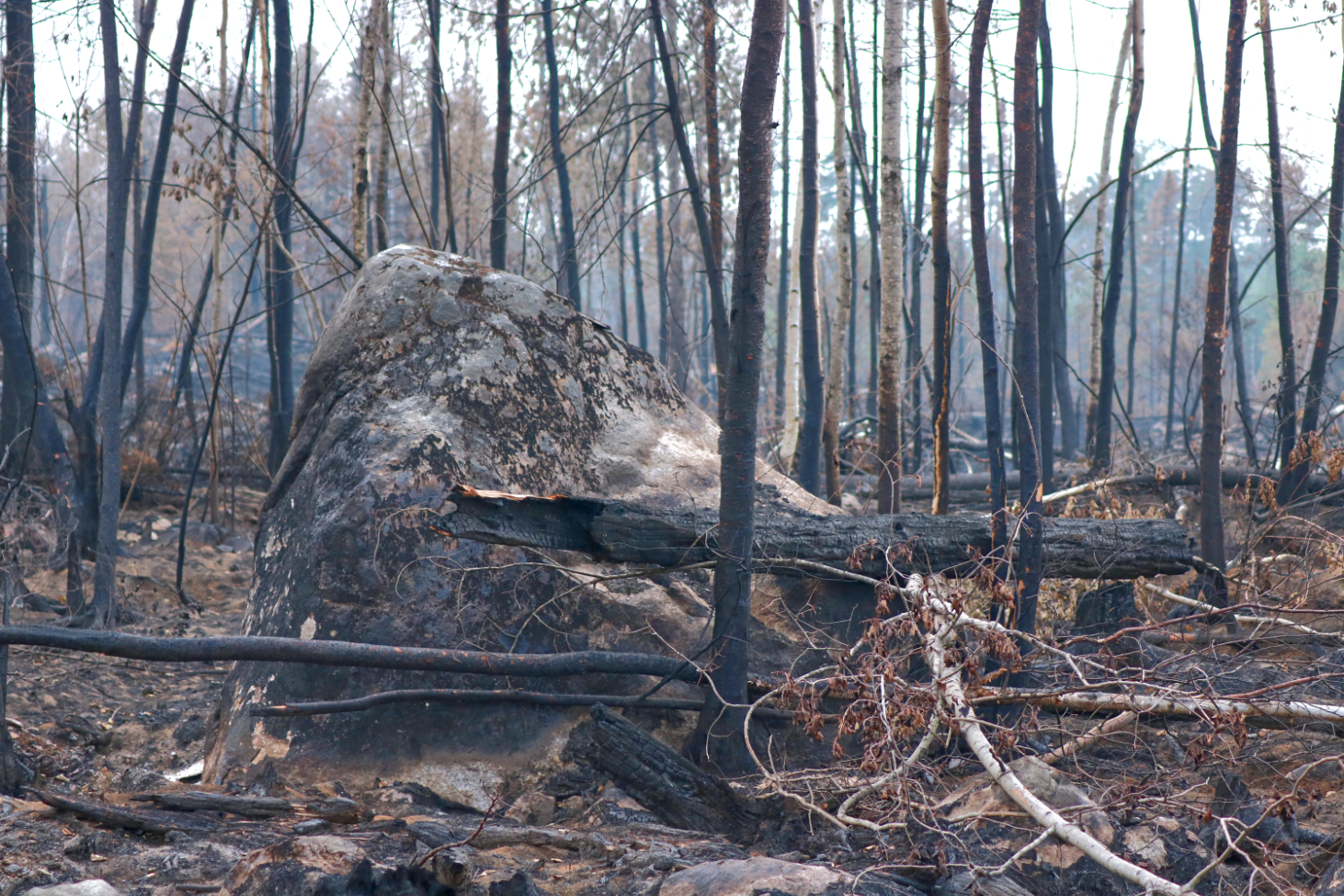 Recent rainfall dampens wildfire activity in Northwest