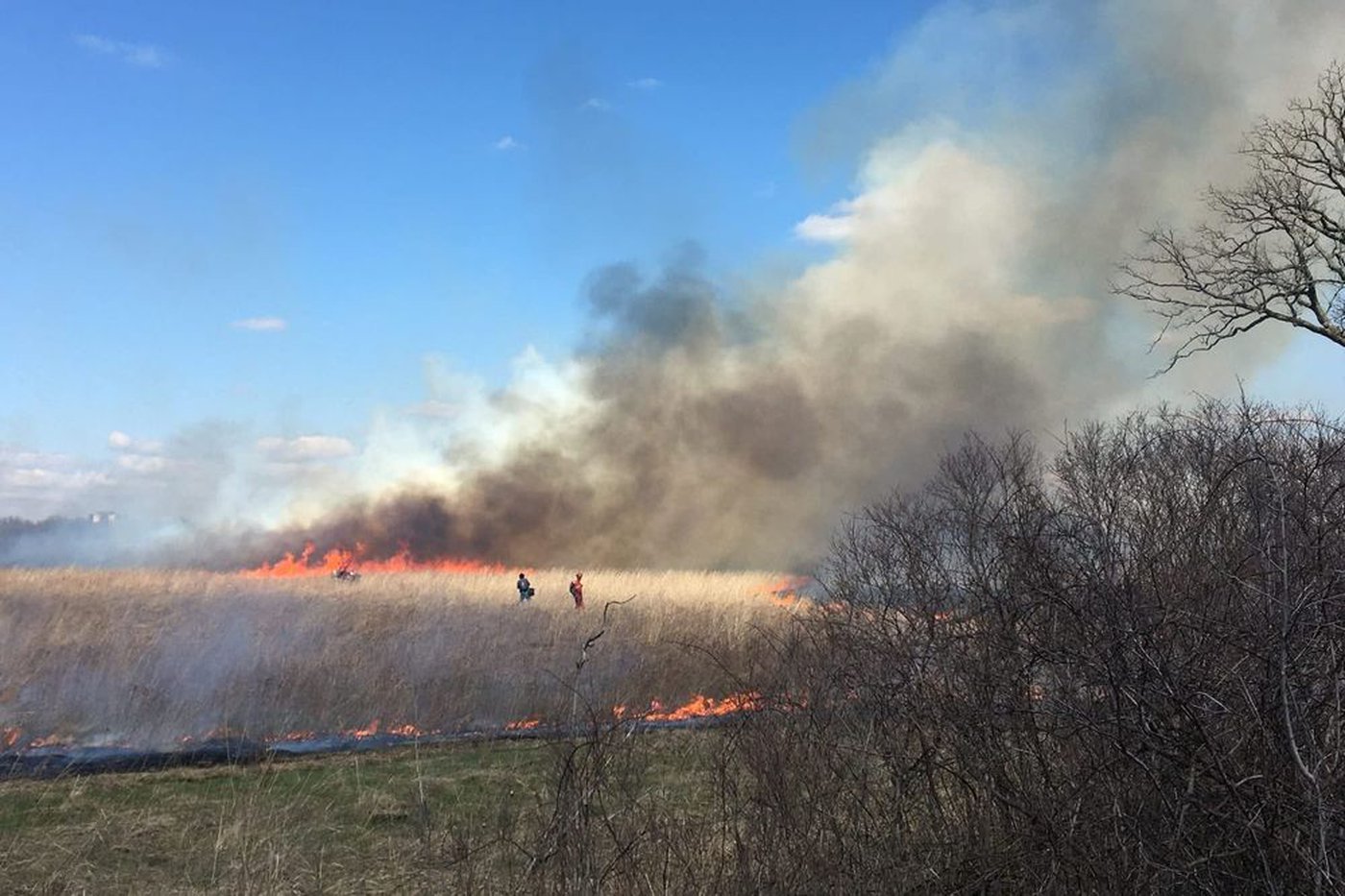 Lighting fires on purpose helps stop worse wildfires later