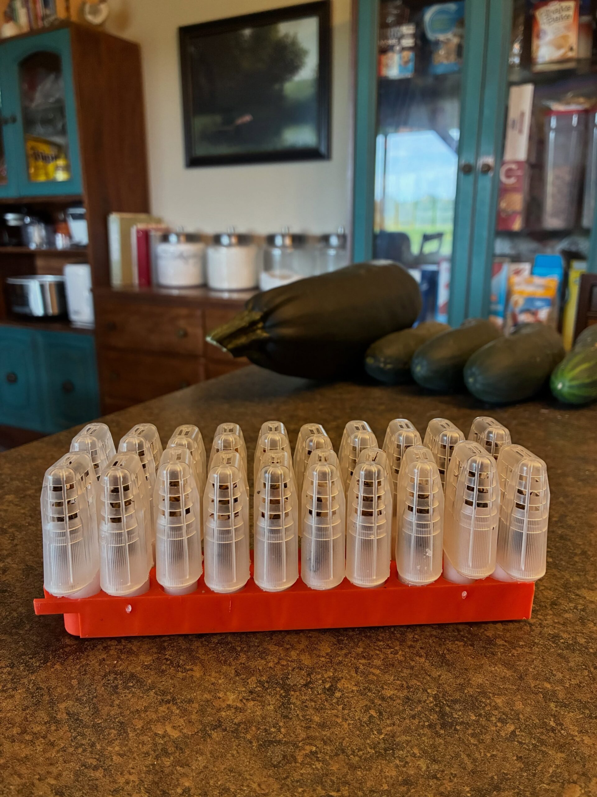 Mama bees make it to Spry Farm – with a little help from grandpa