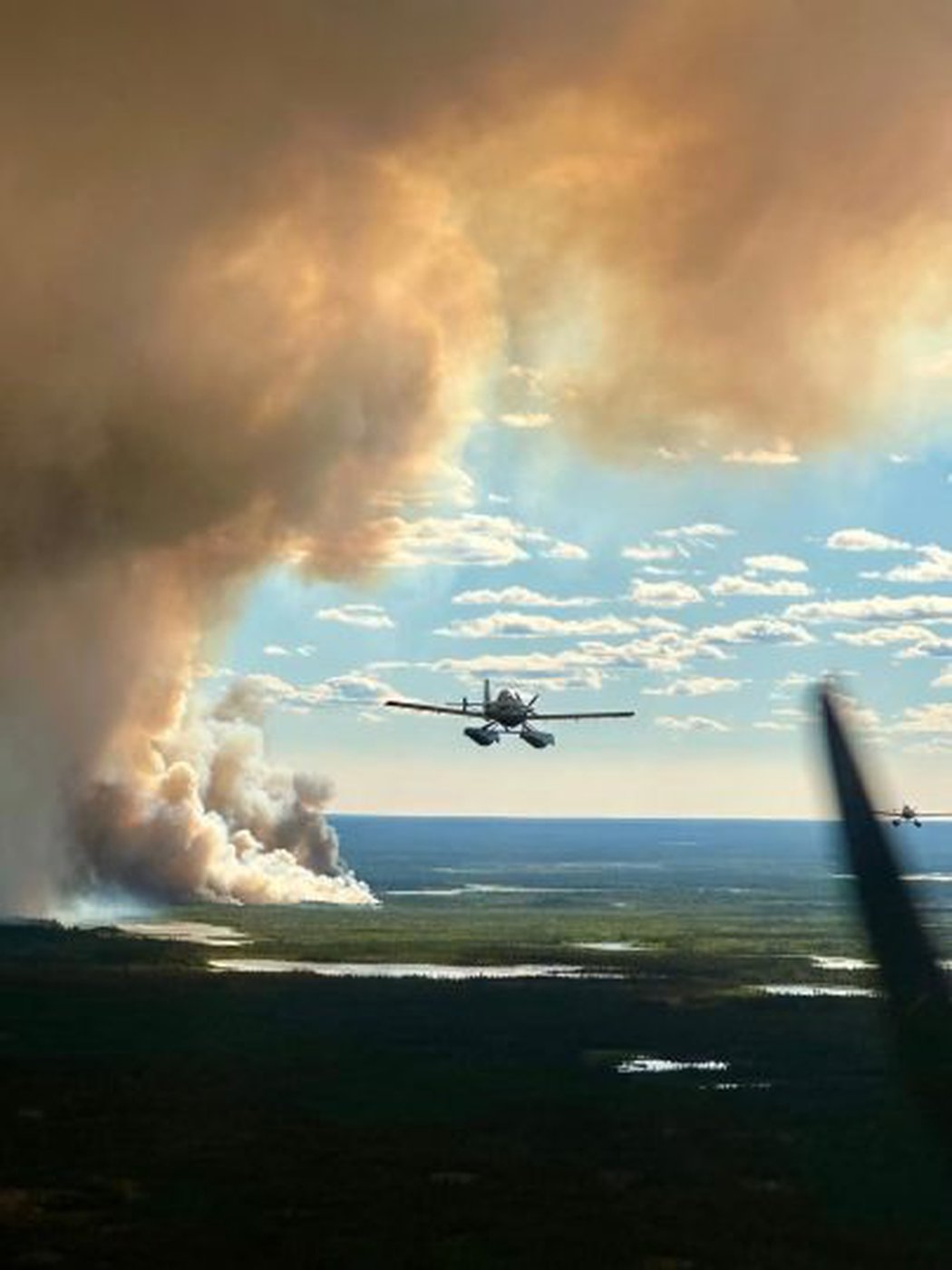 Ford government won’t commit to forest fire inquiry, as chiefs demand change
